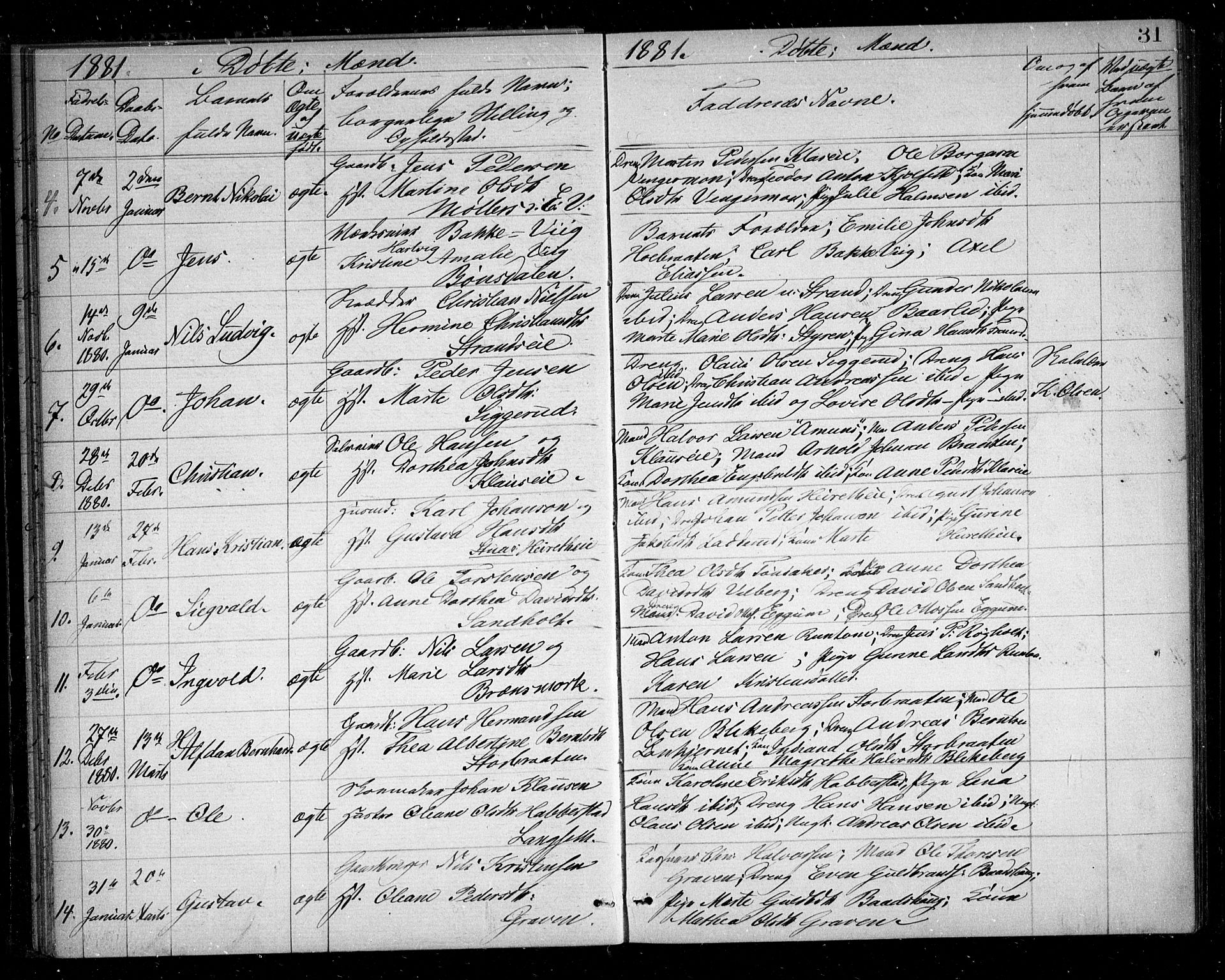 Eidsvoll prestekontor Kirkebøker, AV/SAO-A-10888/G/Ga/L0004: Parish register (copy) no. I 4, 1877-1884, p. 31