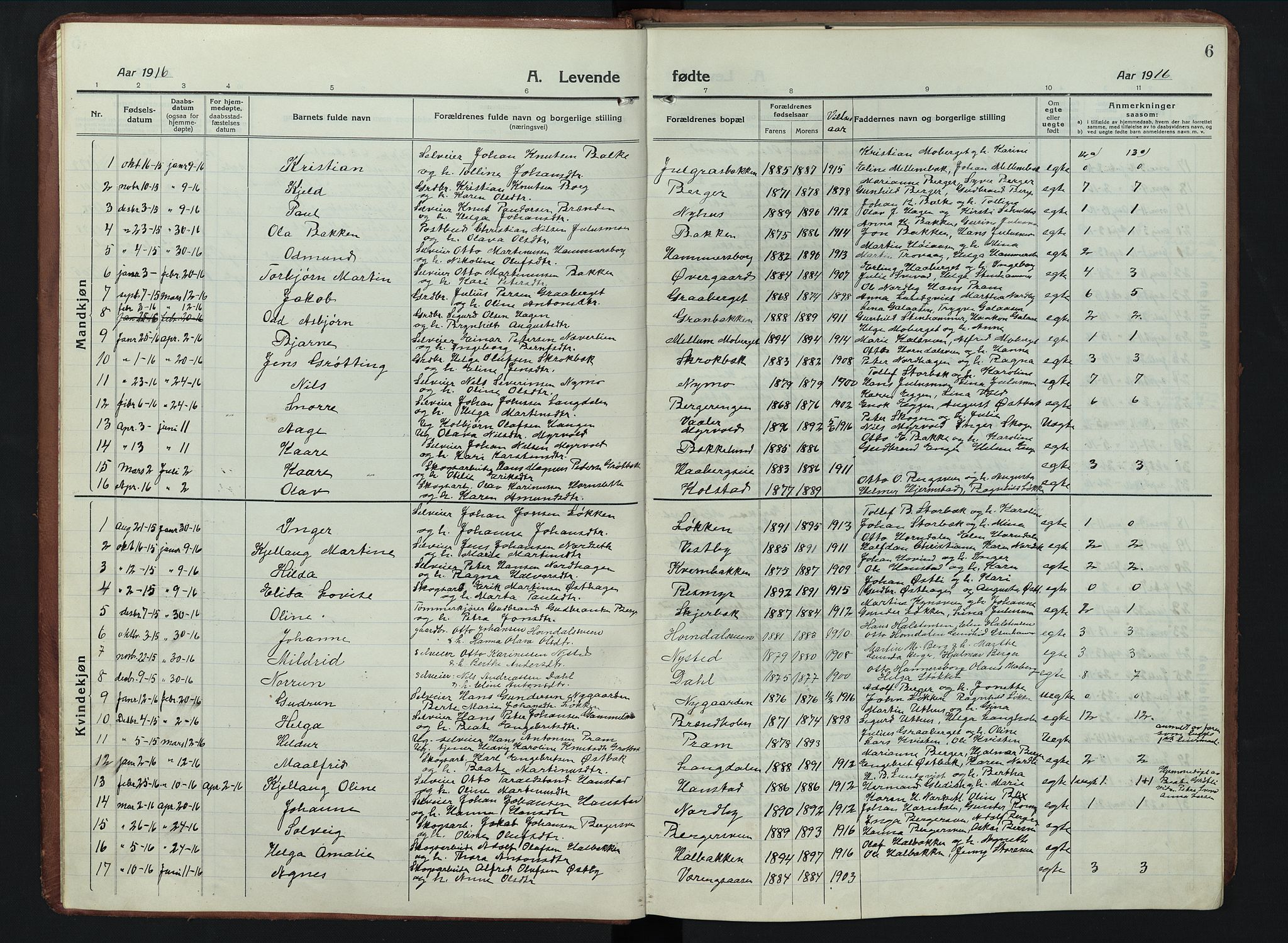 Elverum prestekontor, SAH/PREST-044/H/Ha/Hab/L0011: Parish register (copy) no. 11, 1915-1947, p. 6