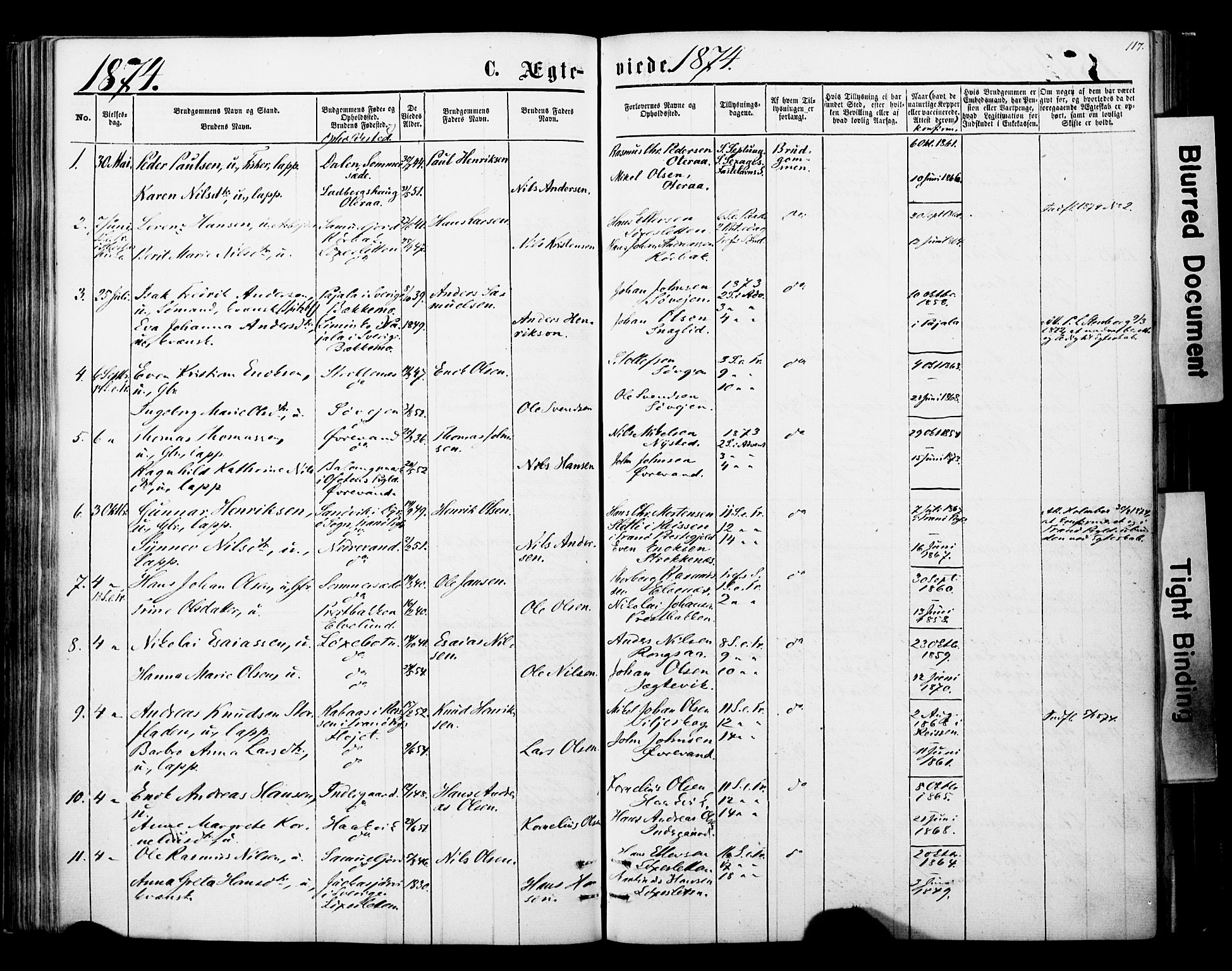 Ibestad sokneprestembete, AV/SATØ-S-0077/H/Ha/Haa/L0013kirke: Parish register (official) no. 13, 1865-1879, p. 117