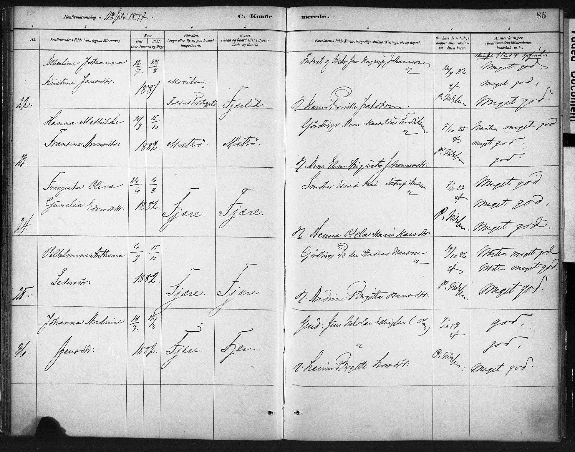 Ministerialprotokoller, klokkerbøker og fødselsregistre - Nordland, AV/SAT-A-1459/803/L0071: Parish register (official) no. 803A01, 1881-1897, p. 85