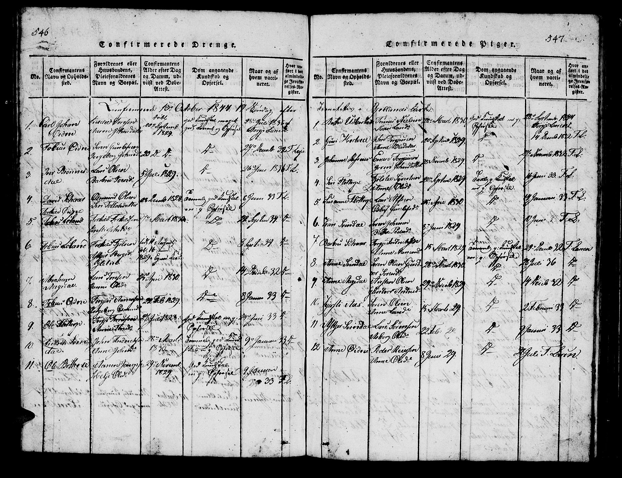 Bjelland sokneprestkontor, SAK/1111-0005/F/Fb/Fbc/L0001: Parish register (copy) no. B 1, 1815-1870, p. 546-547