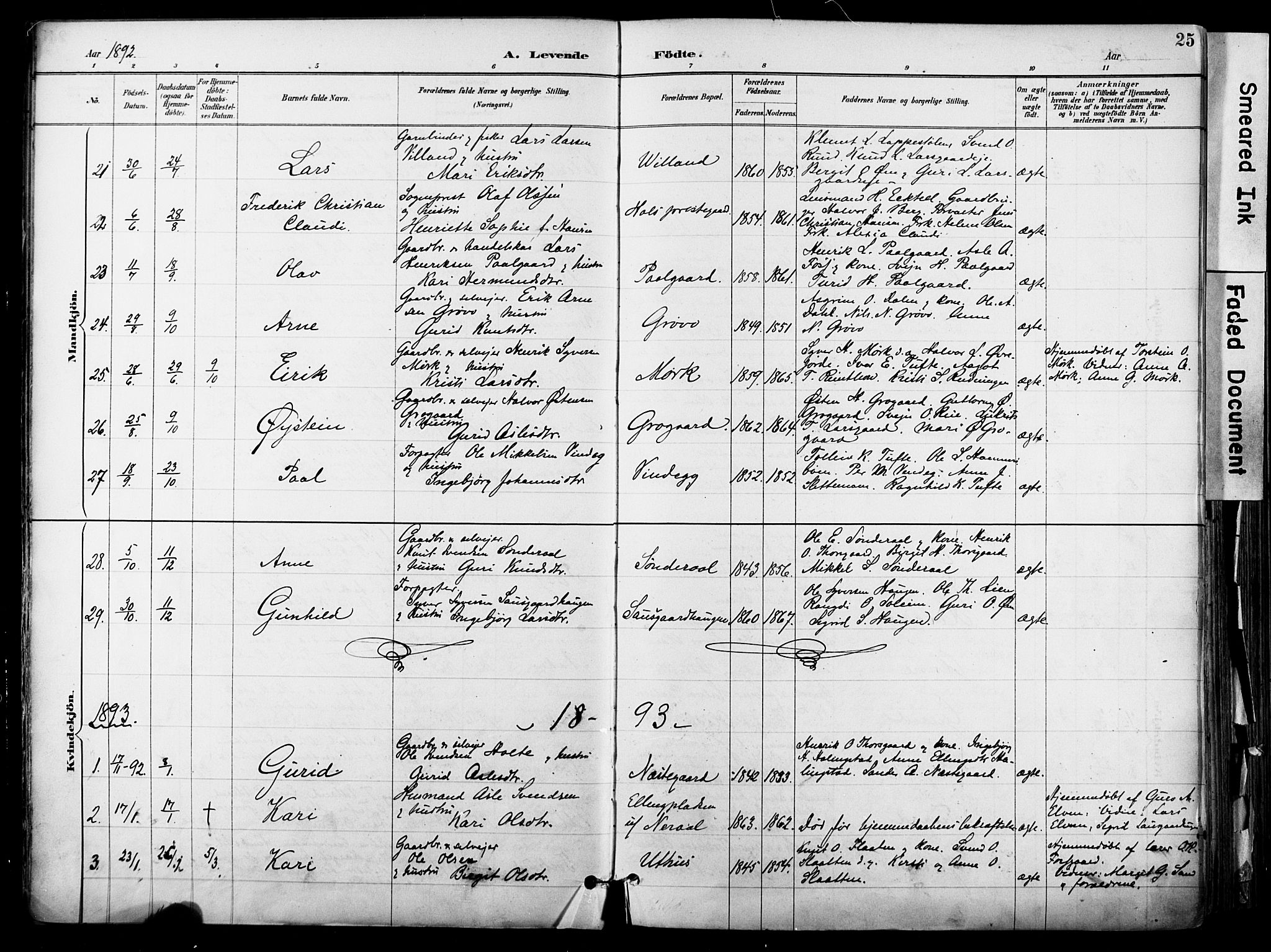 Hol kirkebøker, AV/SAKO-A-227/F/Fa/L0003: Parish register (official) no. I 3, 1887-1918, p. 25