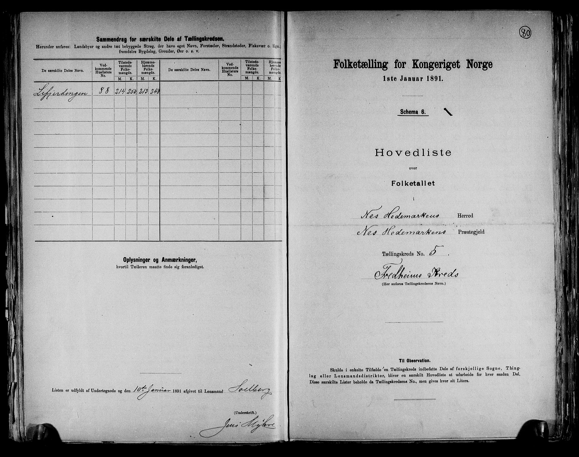 RA, 1891 census for 0411 Nes, 1891, p. 16