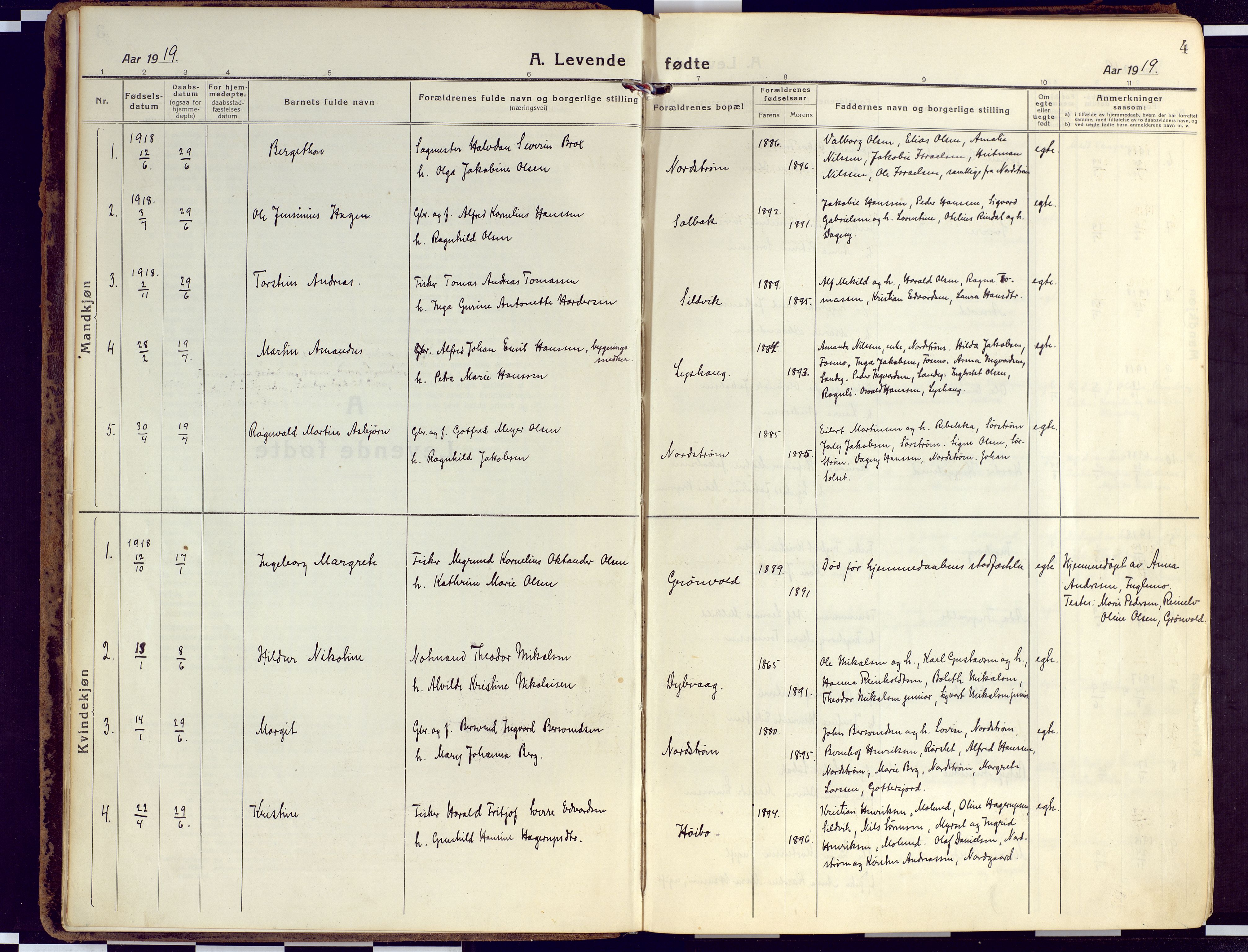 Tranøy sokneprestkontor, AV/SATØ-S-1313/I/Ia/Iaa/L0015kirke: Parish register (official) no. 15, 1919-1928, p. 4