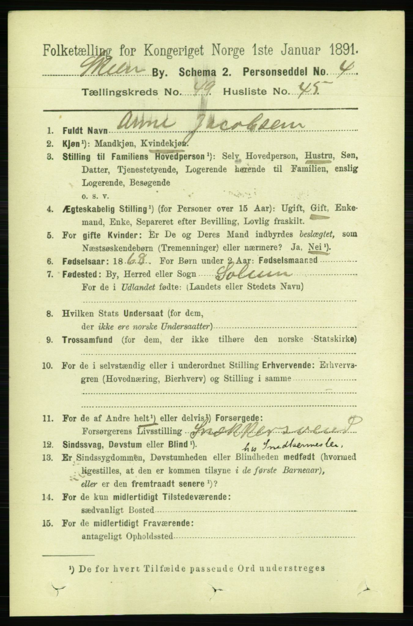 RA, 1891 census for 0806 Skien, 1891, p. 10721