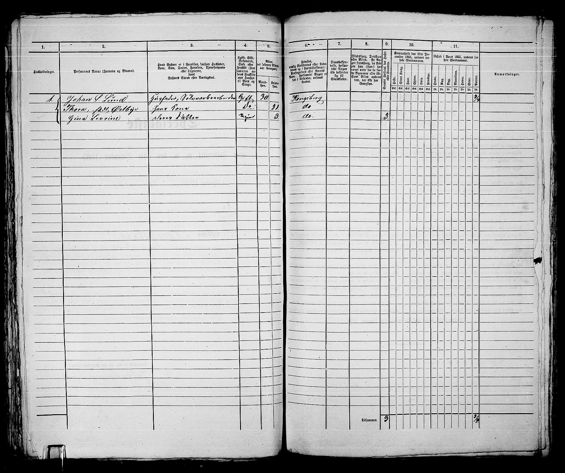 RA, 1865 census for Kongsberg/Kongsberg, 1865, p. 802