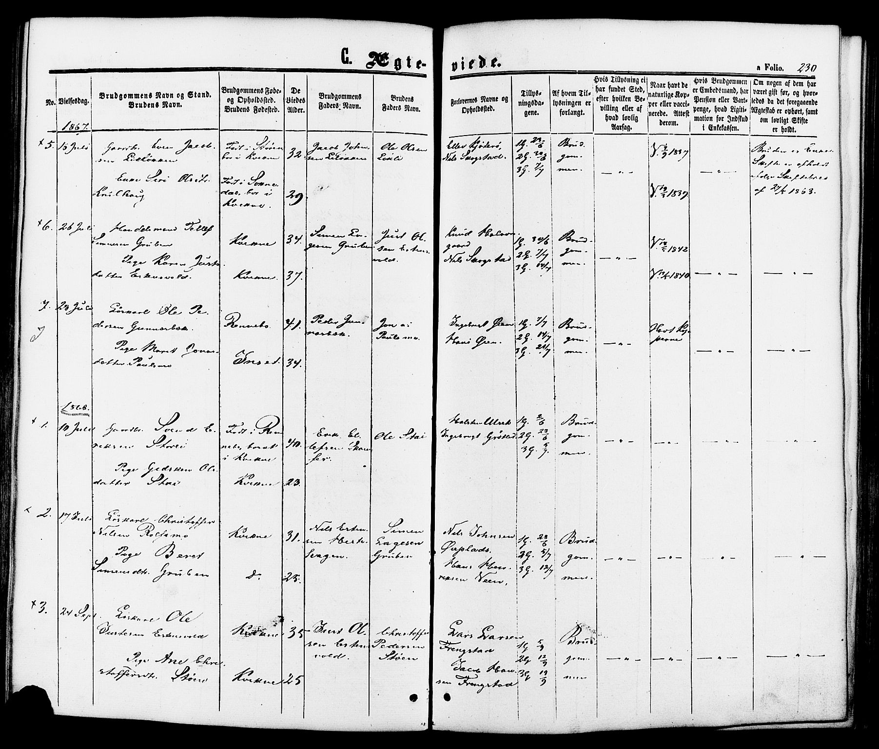 Kvikne prestekontor, SAH/PREST-064/H/Ha/Haa/L0006: Parish register (official) no. 6, 1863-1886, p. 230