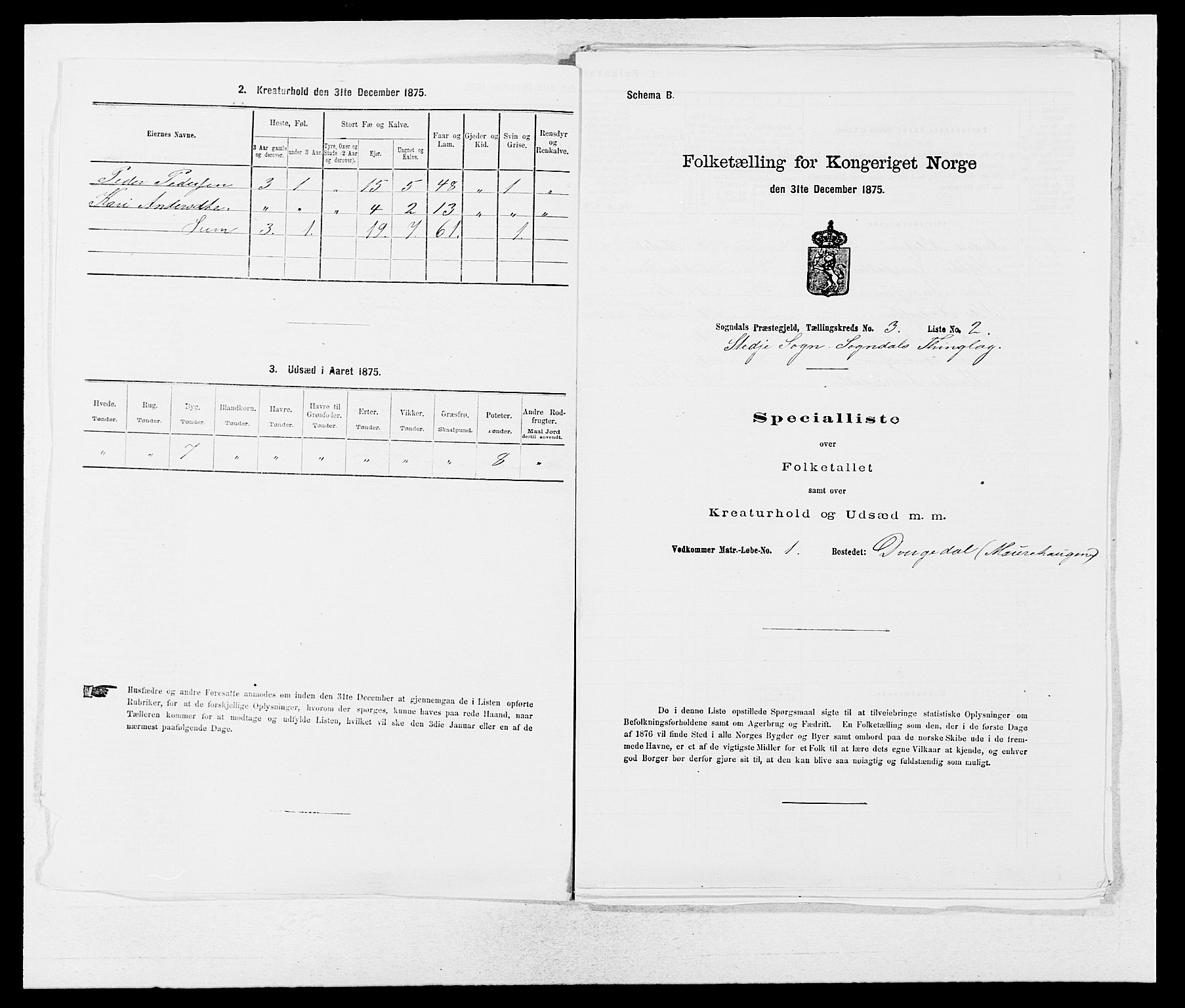 SAB, 1875 census for 1420P Sogndal, 1875, p. 208