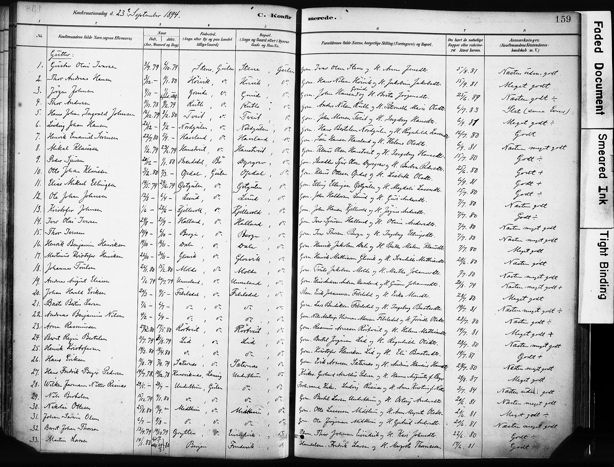 Gulen sokneprestembete, AV/SAB-A-80201/H/Haa/Haab/L0001: Parish register (official) no. B 1, 1881-1905, p. 159