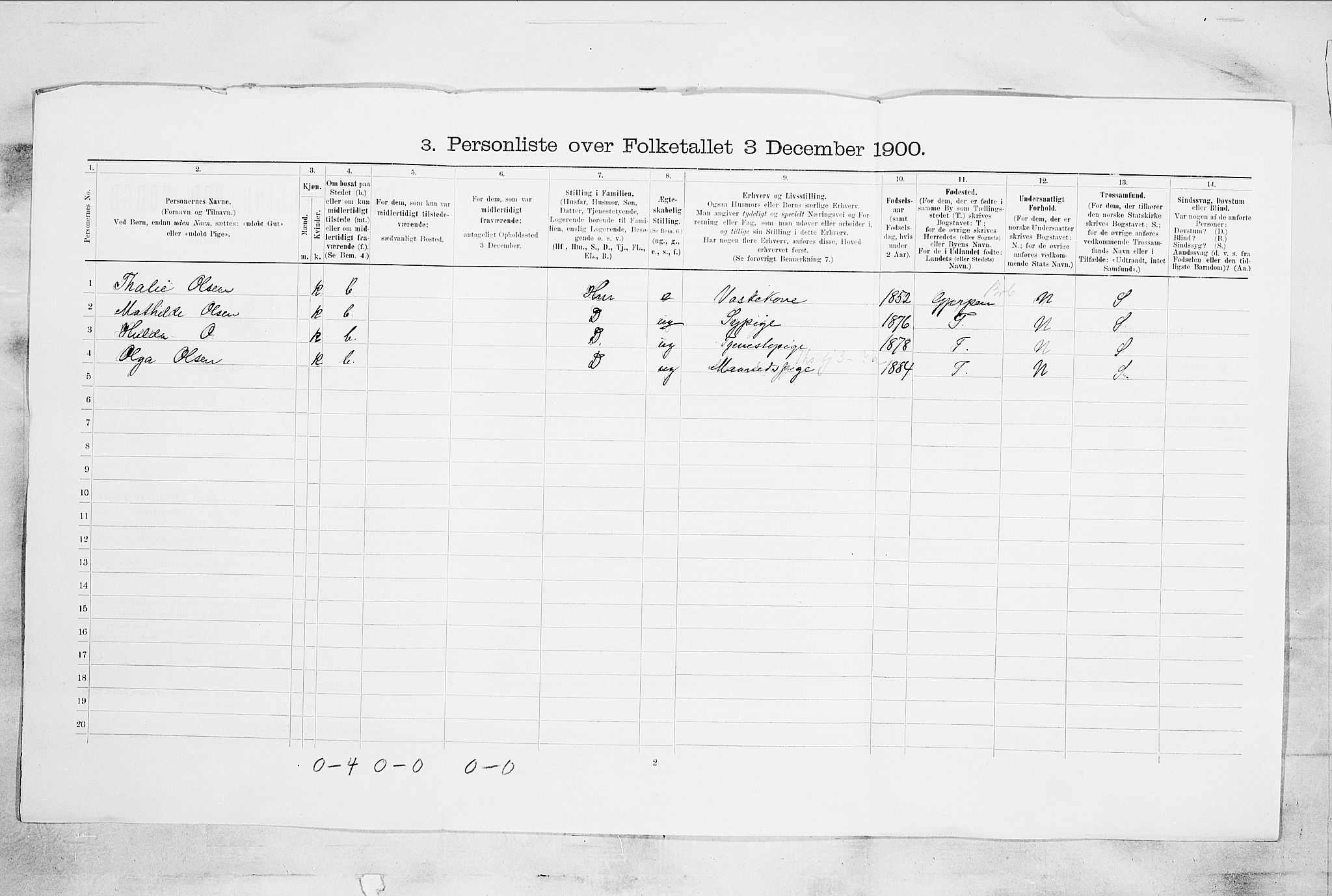 SAKO, 1900 census for Skien, 1900, p. 3739