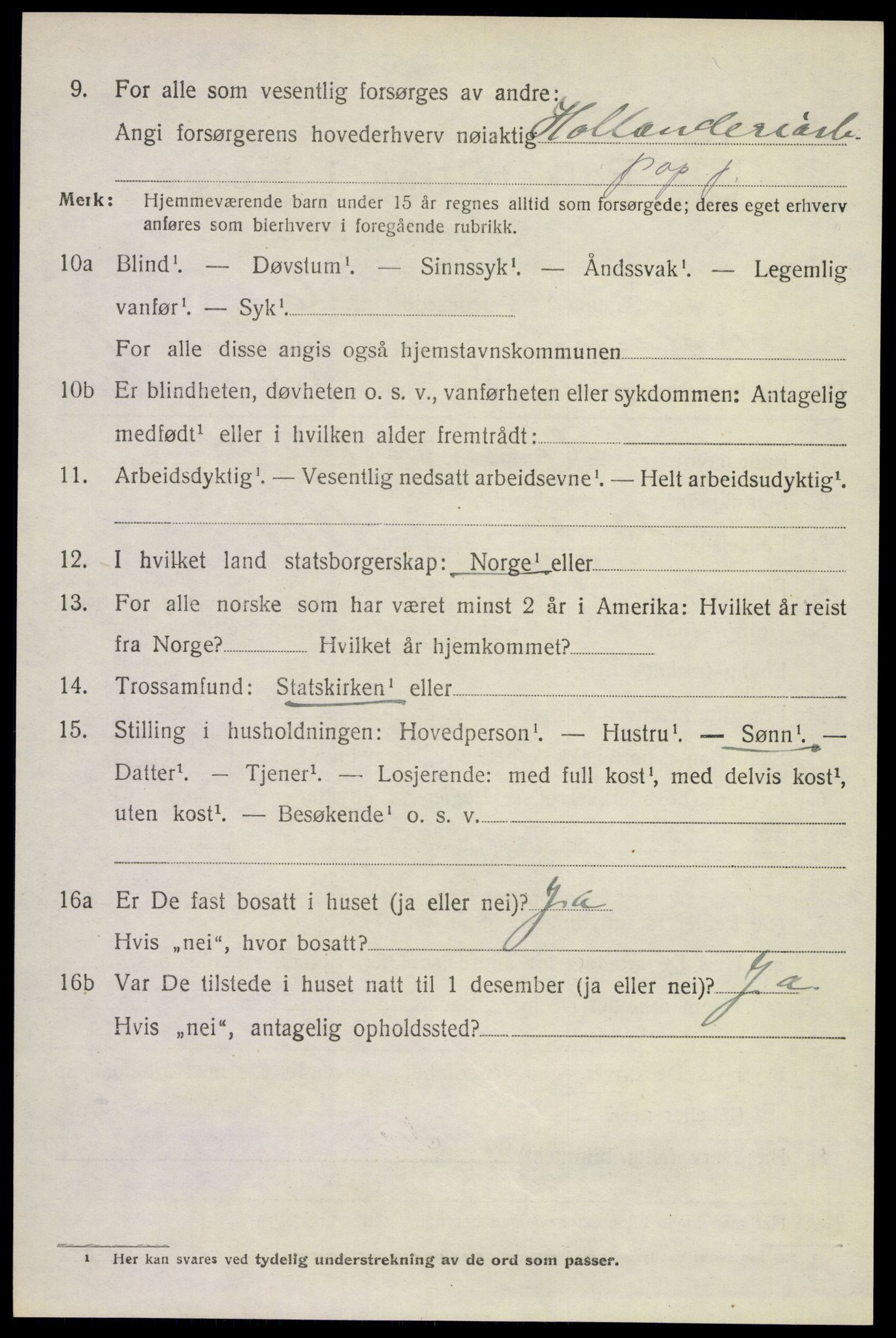SAKO, 1920 census for Solum, 1920, p. 4225