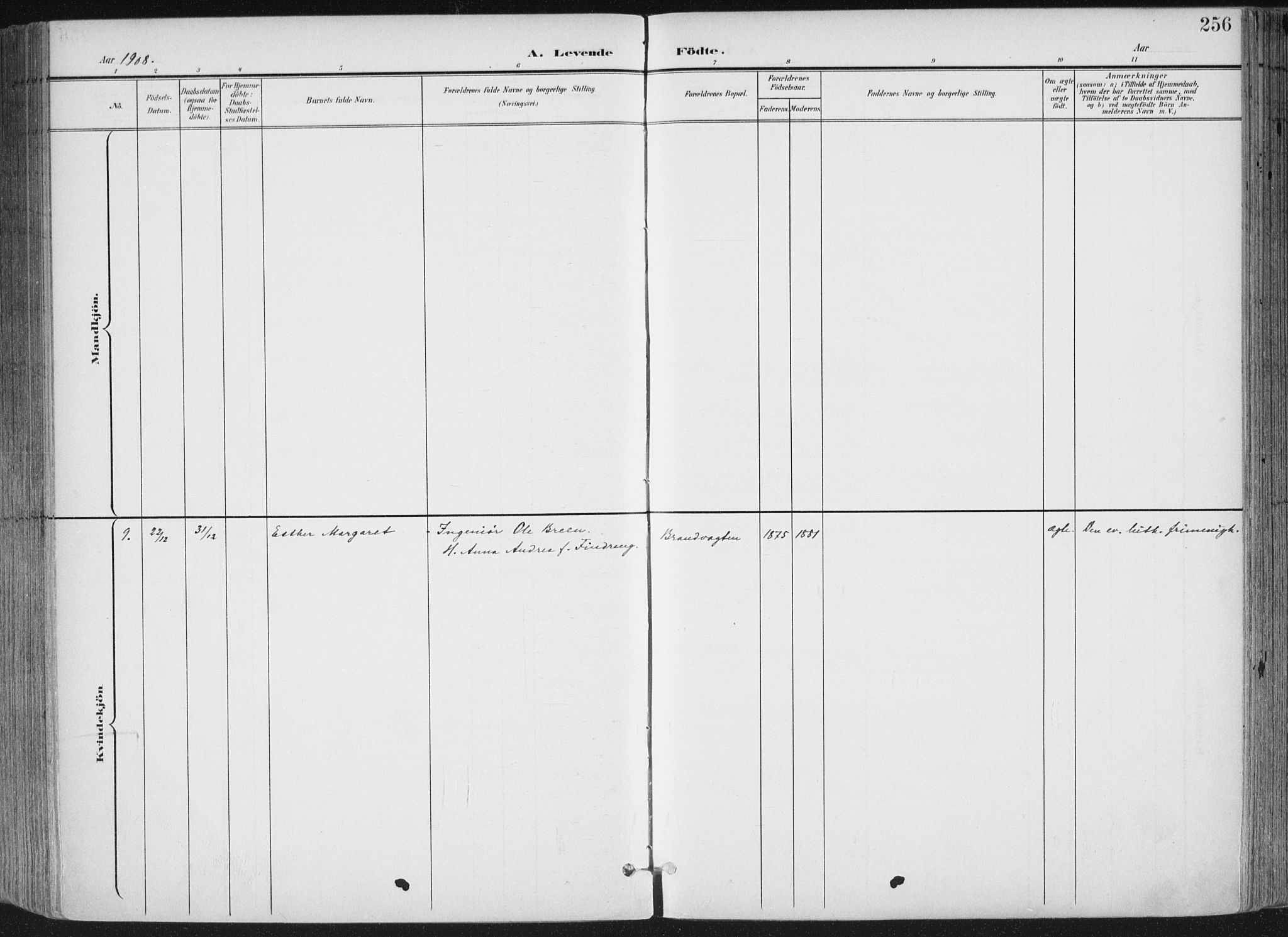 Kristiansand domprosti, SAK/1112-0006/F/Fa/L0021: Parish register (official) no. A 20, 1898-1908, p. 256