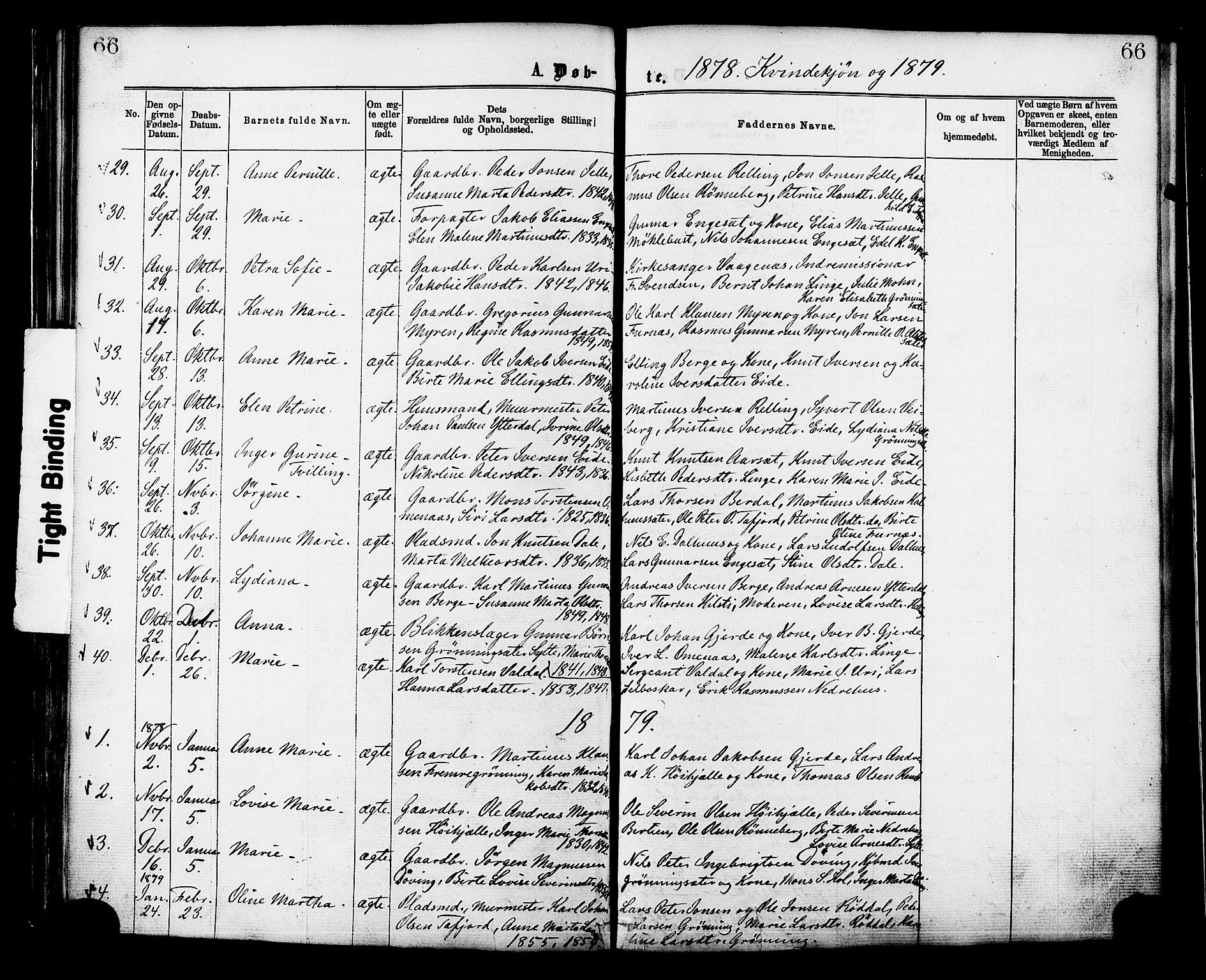 Ministerialprotokoller, klokkerbøker og fødselsregistre - Møre og Romsdal, AV/SAT-A-1454/519/L0254: Parish register (official) no. 519A13, 1868-1883, p. 66