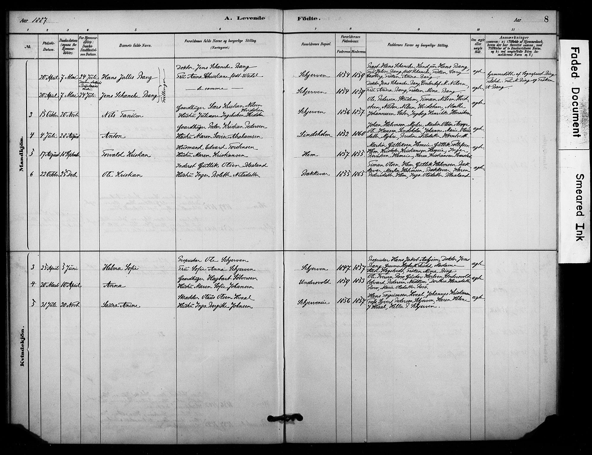 Lardal kirkebøker, SAKO/A-350/F/Fc/L0001: Parish register (official) no. III 1, 1881-1906, p. 8