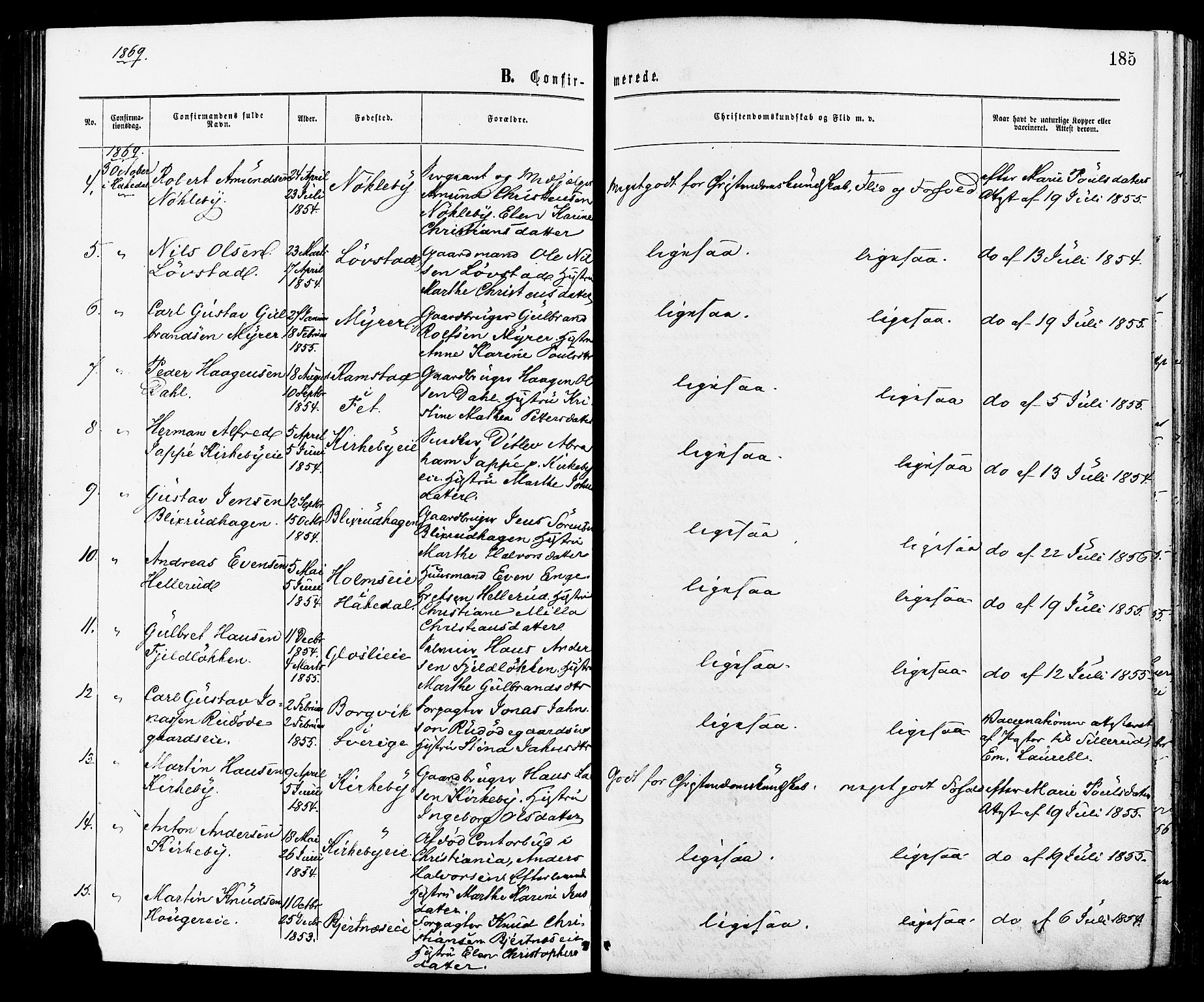 Nittedal prestekontor Kirkebøker, AV/SAO-A-10365a/F/Fa/L0006: Parish register (official) no. I 6, 1863-1878, p. 185