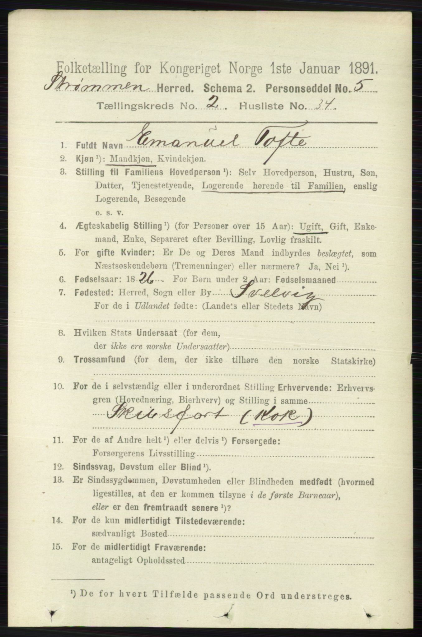 RA, 1891 census for 0711 Strømm, 1891, p. 894