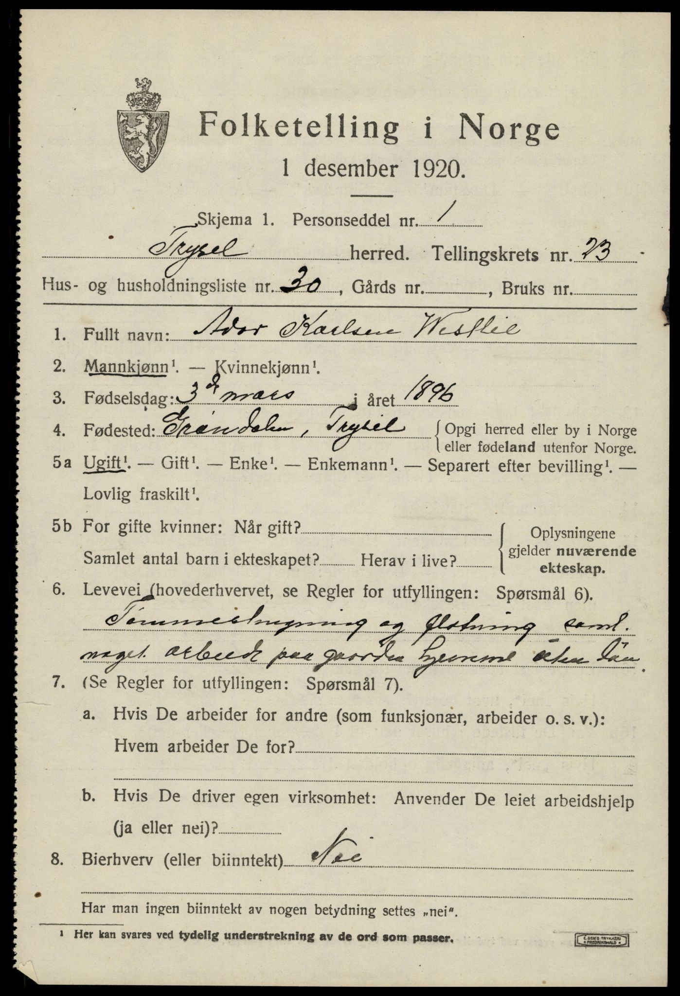 SAH, 1920 census for Trysil, 1920, p. 15211