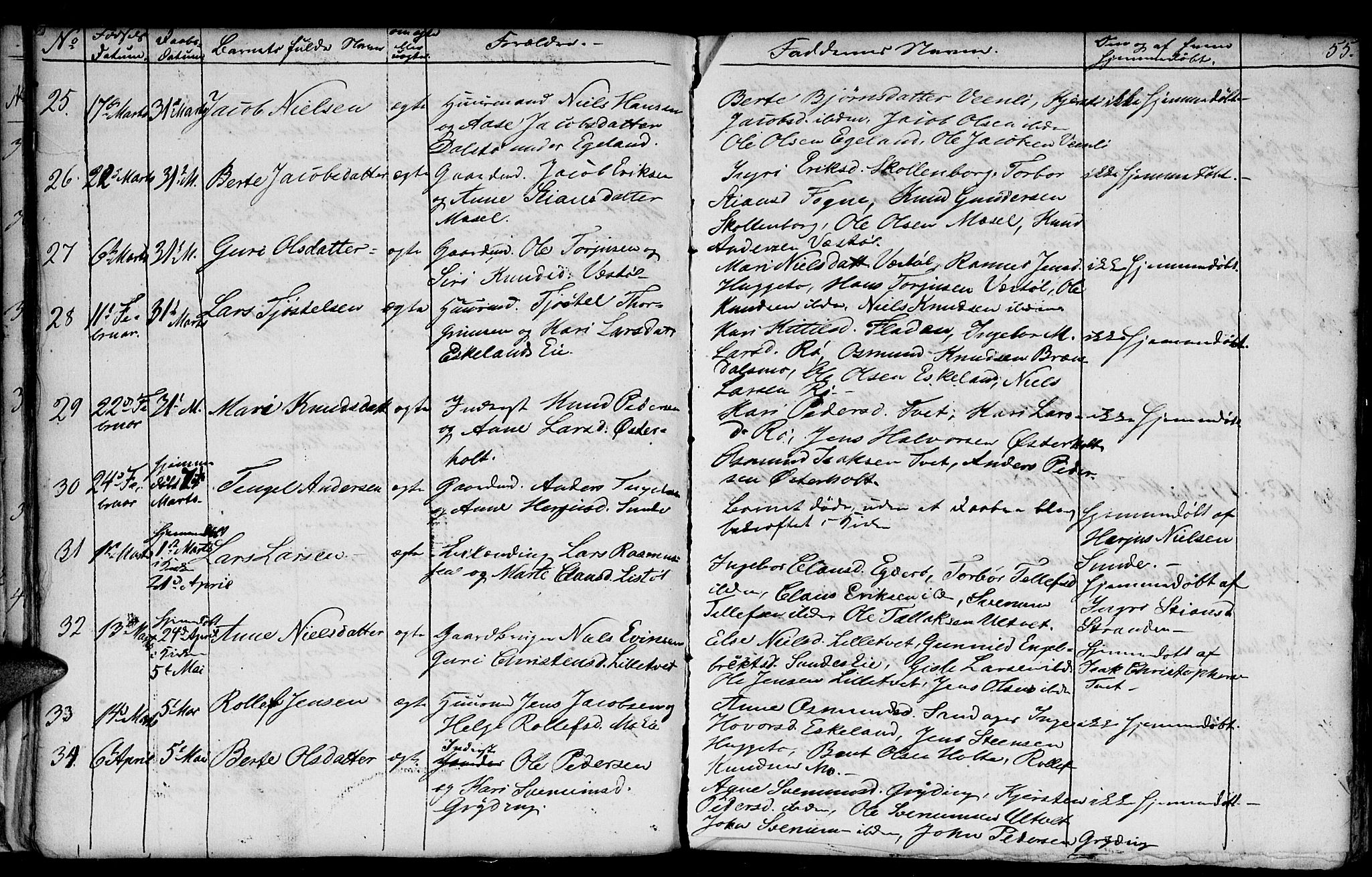 Gjerstad sokneprestkontor, AV/SAK-1111-0014/F/Fb/Fba/L0004: Parish register (copy) no. B 4, 1845-1853, p. 55