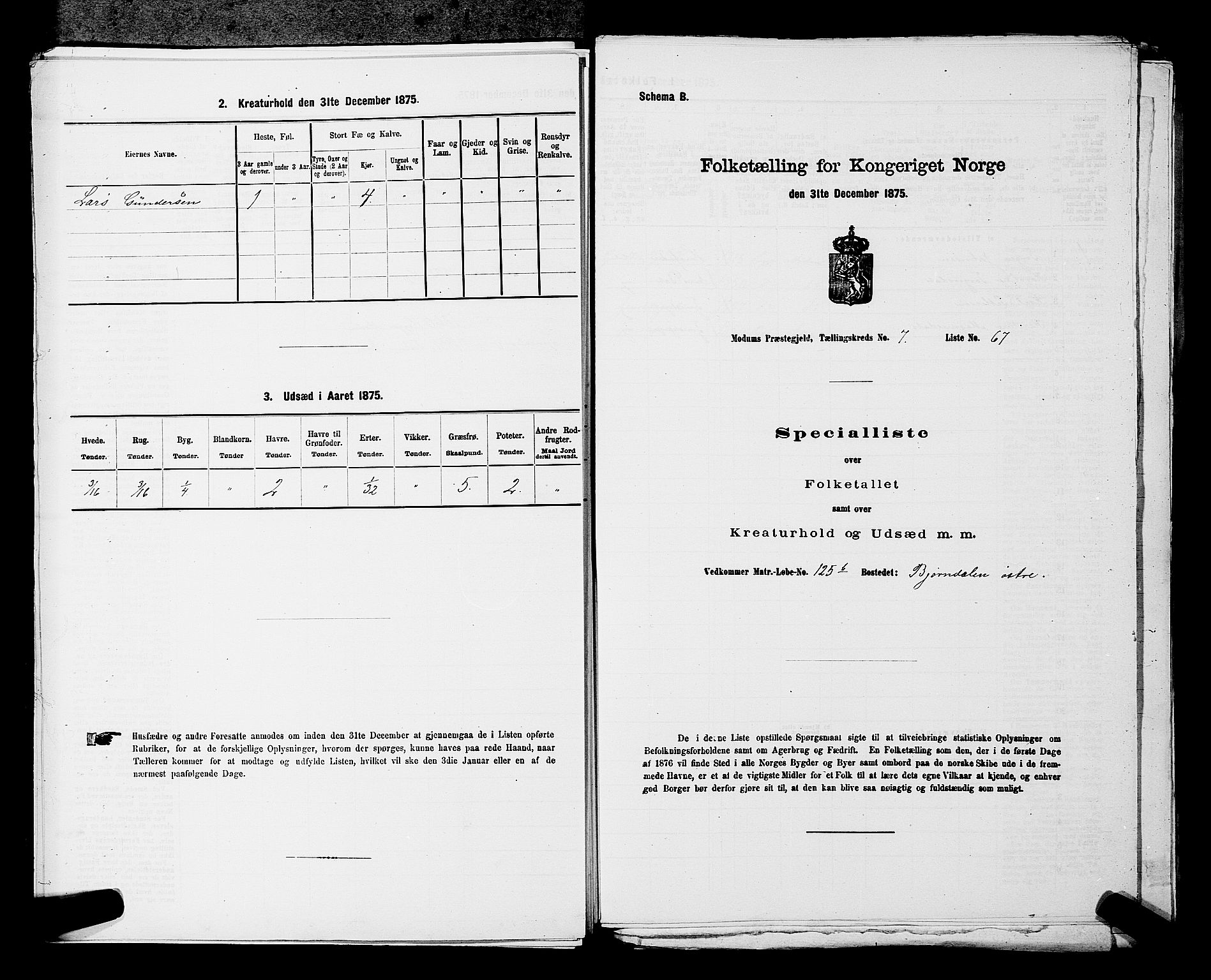 SAKO, 1875 census for 0623P Modum, 1875, p. 865