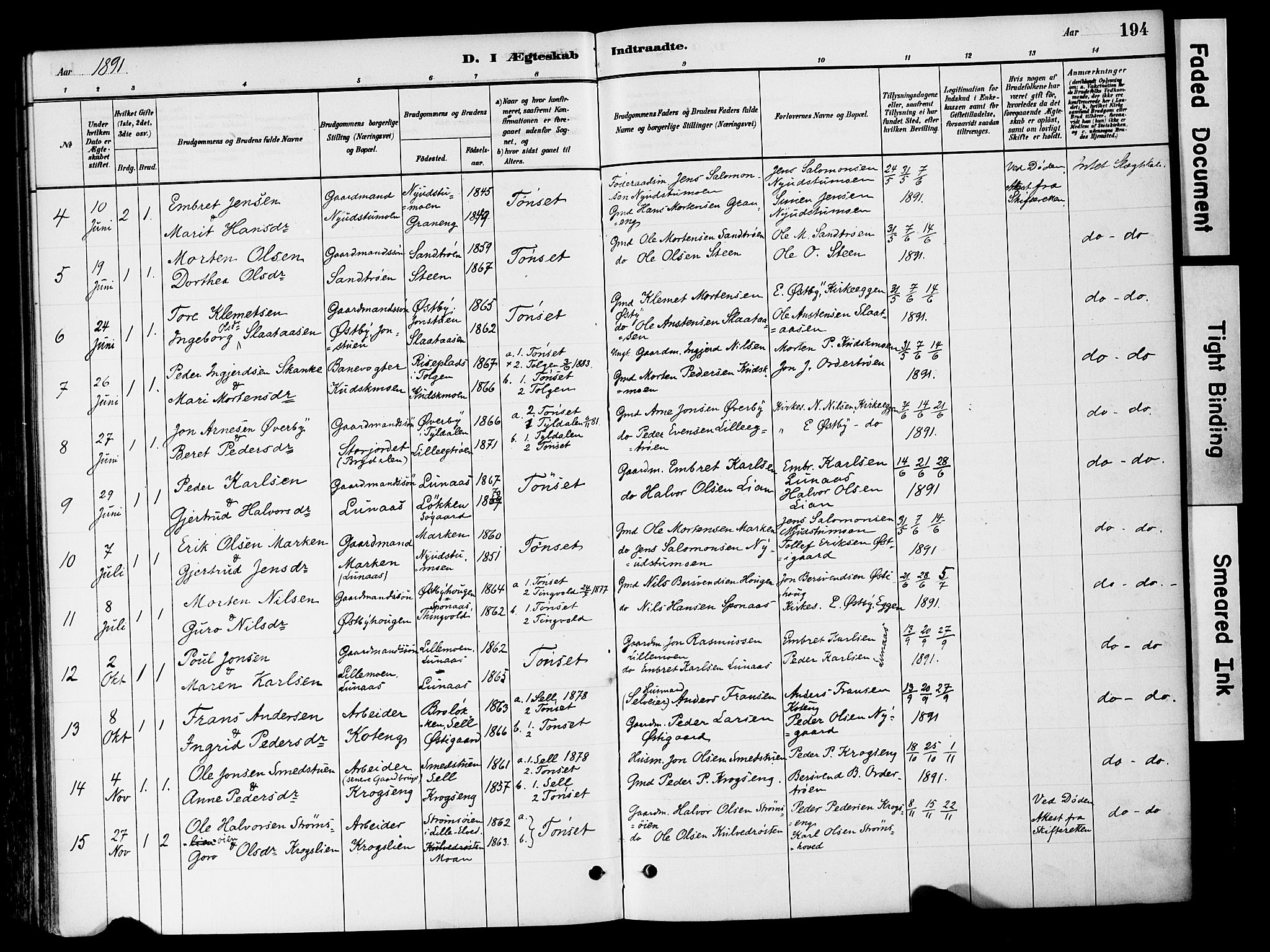 Tynset prestekontor, SAH/PREST-058/H/Ha/Haa/L0022: Parish register (official) no. 22, 1880-1899, p. 194