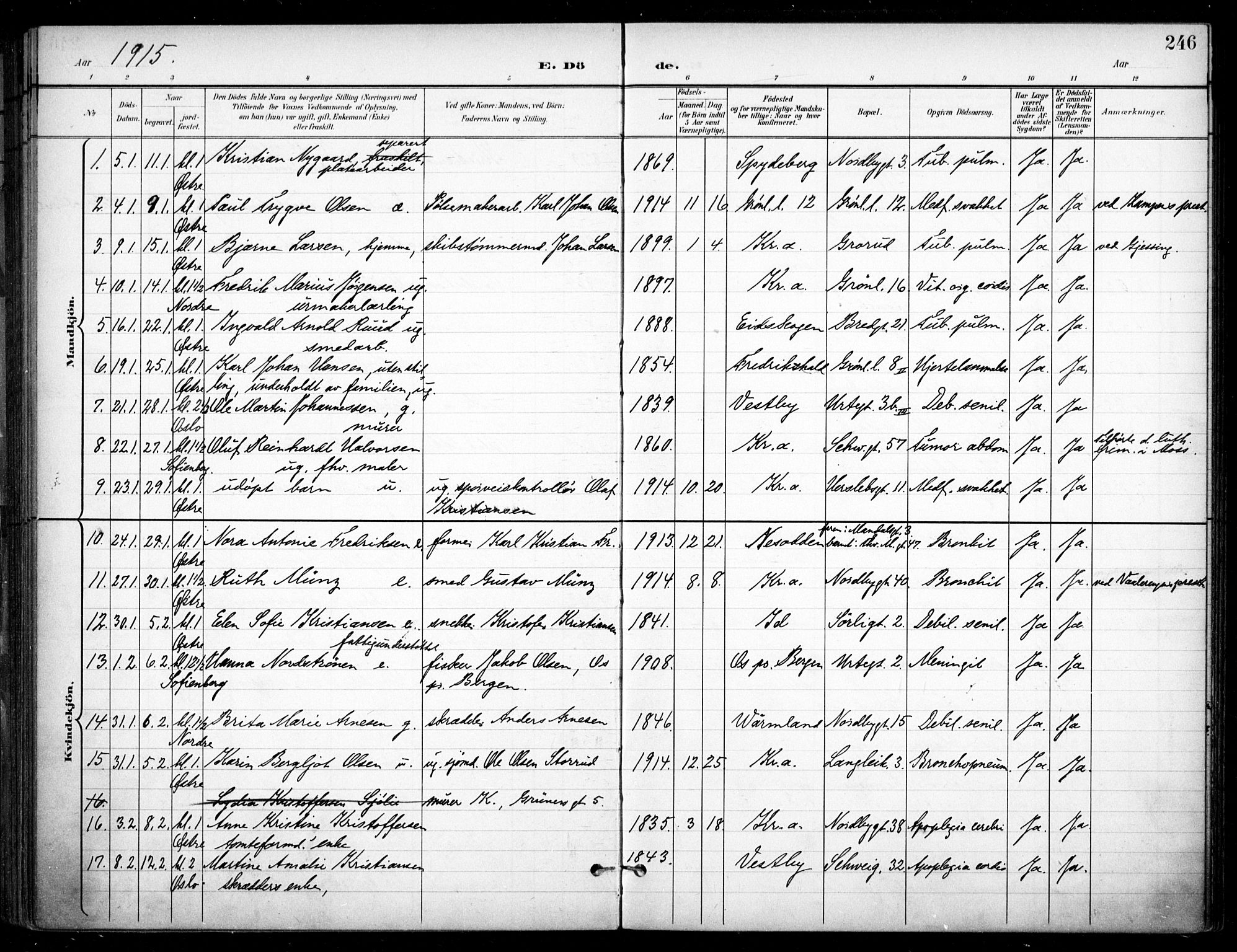Grønland prestekontor Kirkebøker, SAO/A-10848/F/Fa/L0016: Parish register (official) no. 16, 1898-1918, p. 246
