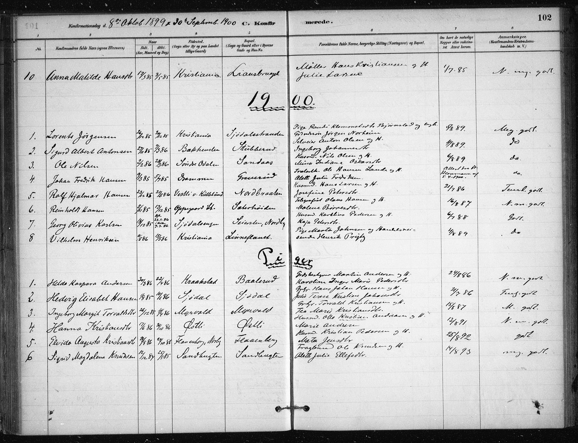 Nesodden prestekontor Kirkebøker, AV/SAO-A-10013/F/Fb/L0001: Parish register (official) no. II 1, 1880-1915, p. 102