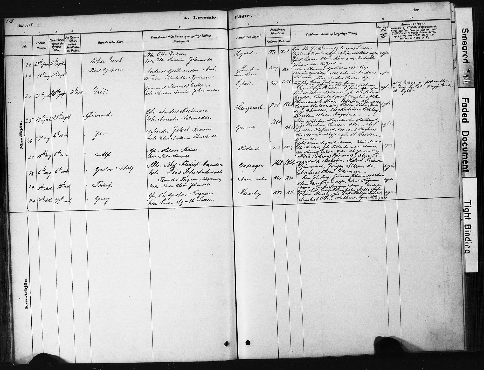 Hof kirkebøker, AV/SAKO-A-64/G/Ga/L0004: Parish register (copy) no. I 4, 1878-1930, p. 118