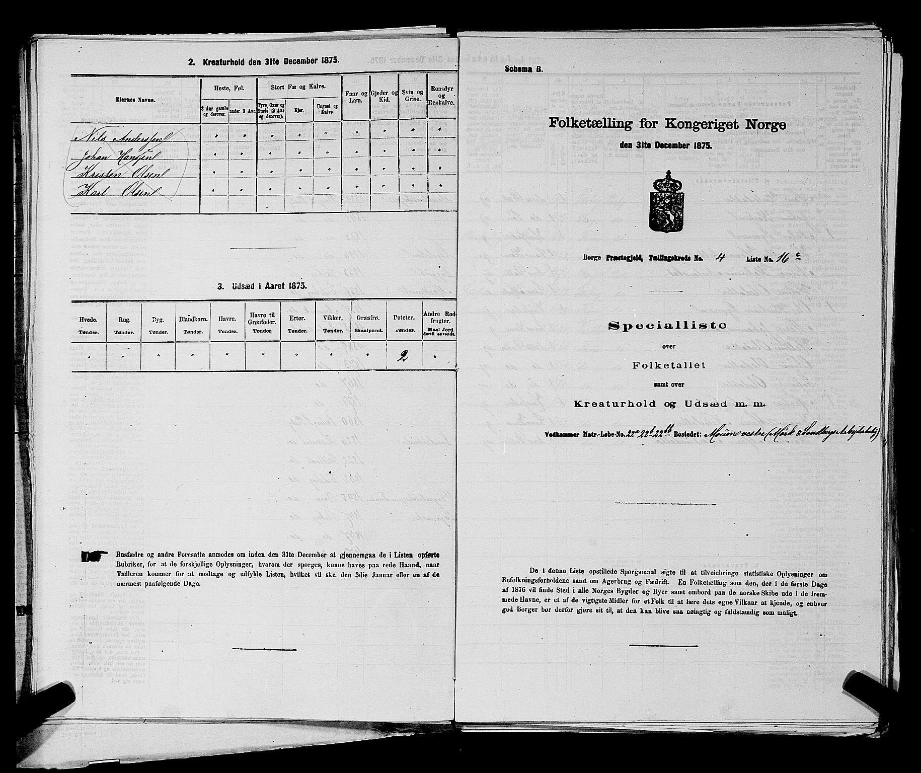 RA, 1875 census for 0113P Borge, 1875, p. 555