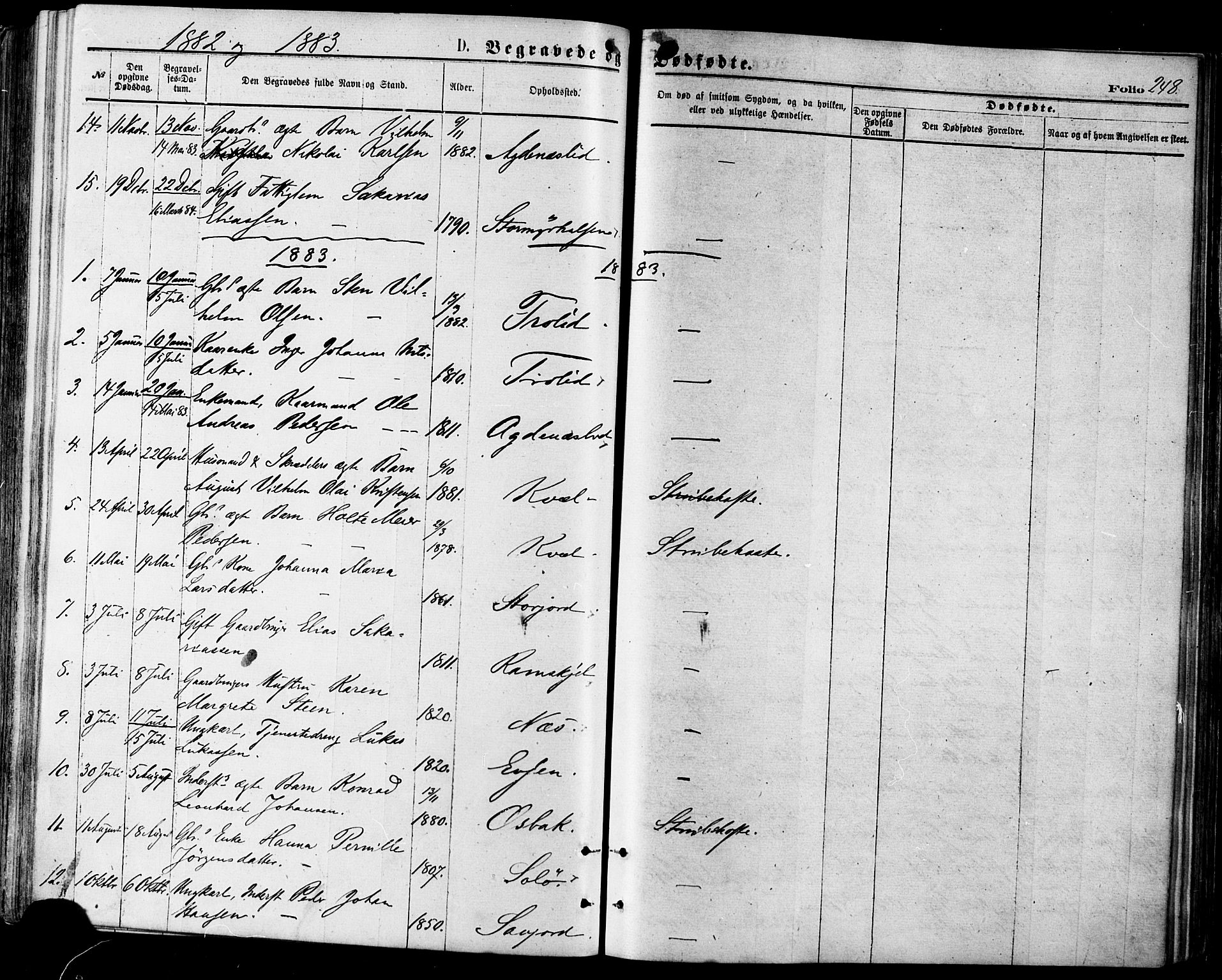 Ministerialprotokoller, klokkerbøker og fødselsregistre - Nordland, SAT/A-1459/846/L0645: Parish register (official) no. 846A03, 1872-1886, p. 248