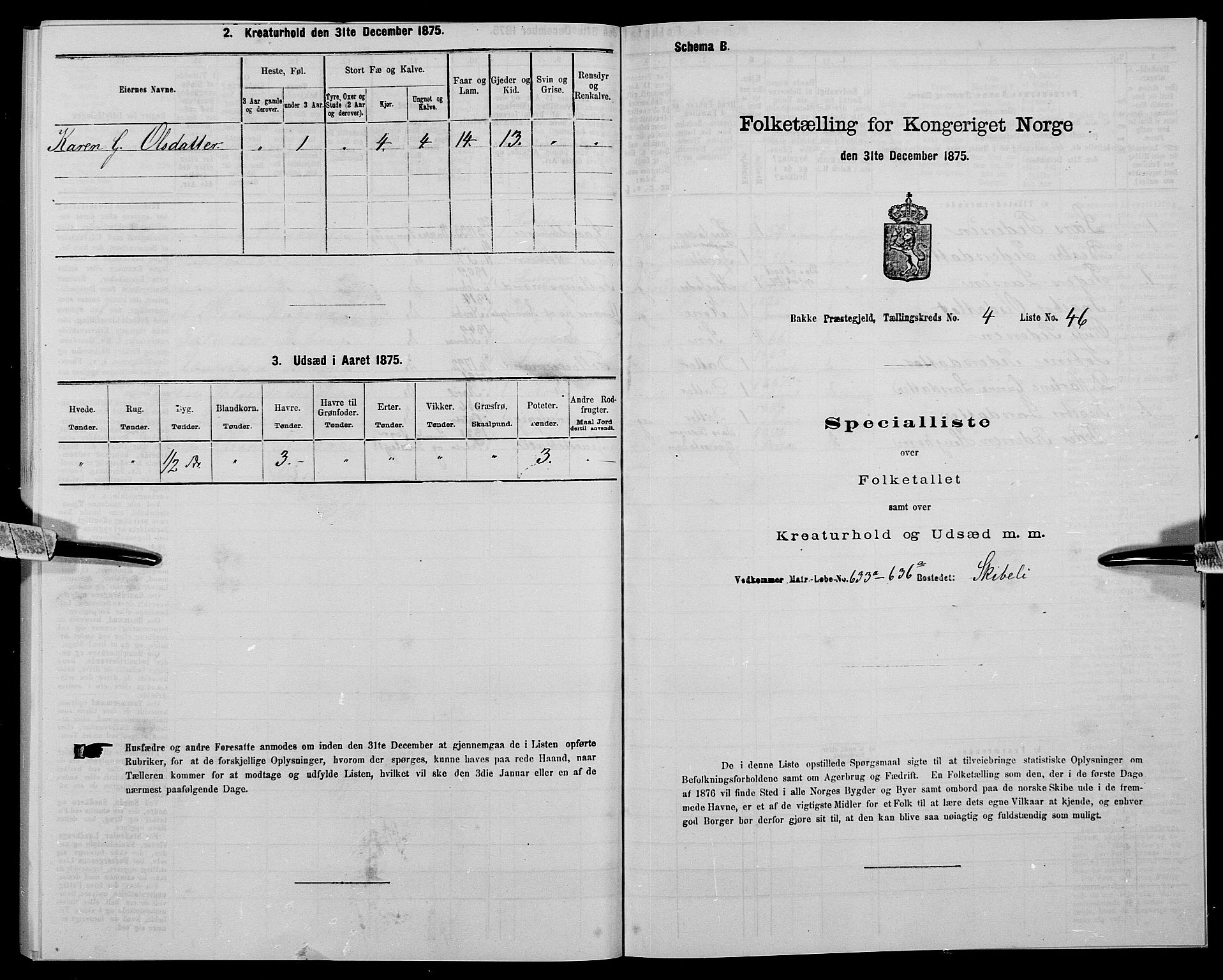 SAK, 1875 census for 1045P Bakke, 1875, p. 474