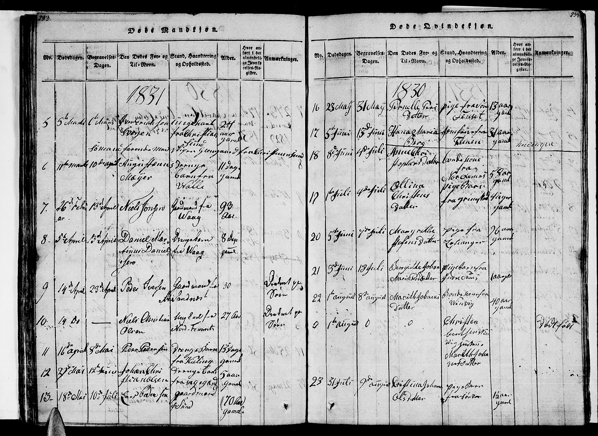 Ministerialprotokoller, klokkerbøker og fødselsregistre - Nordland, AV/SAT-A-1459/805/L0105: Parish register (copy) no. 805C01, 1820-1839, p. 233-234