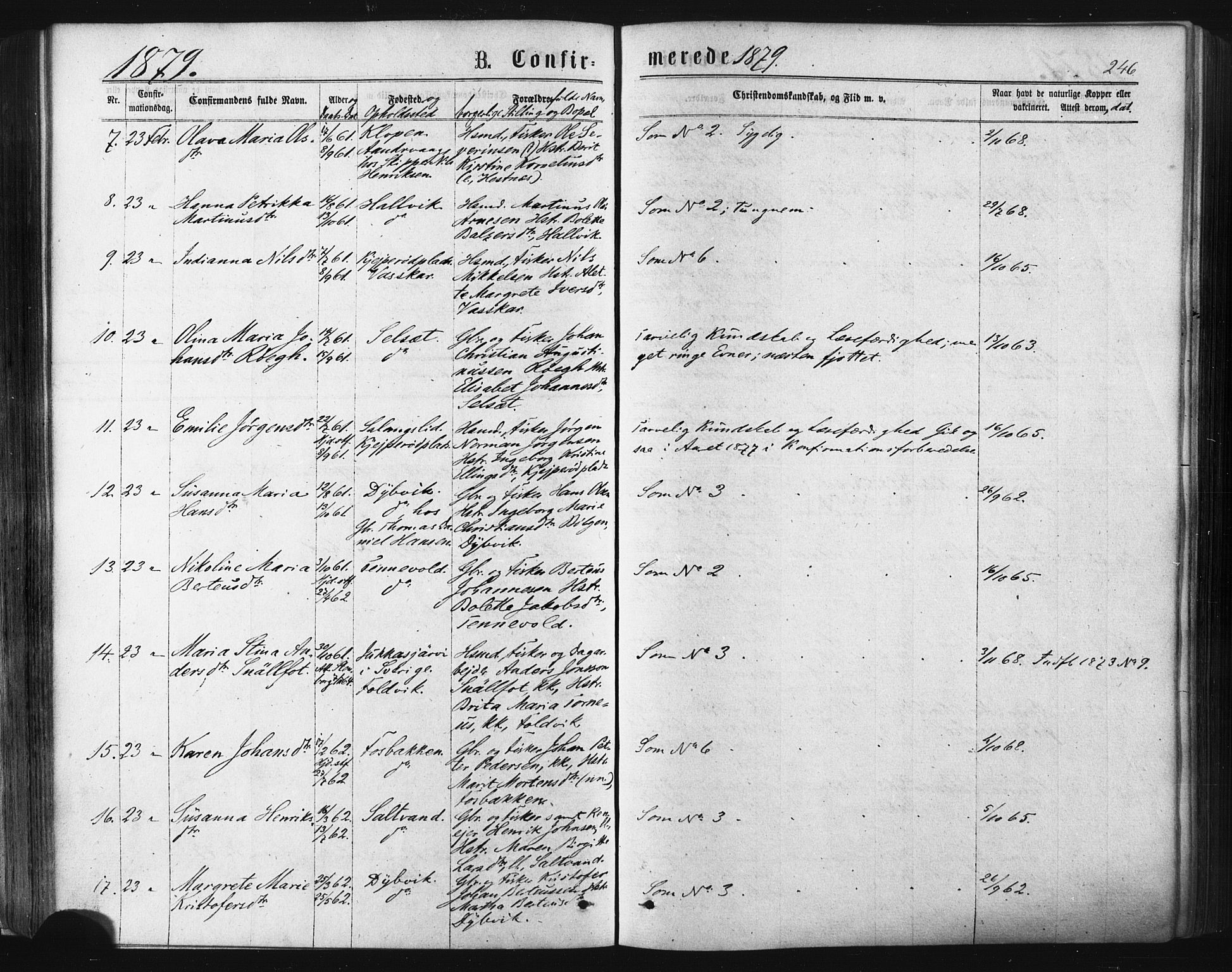Ibestad sokneprestembete, SATØ/S-0077/H/Ha/Haa/L0010kirke: Parish register (official) no. 10, 1869-1879, p. 246