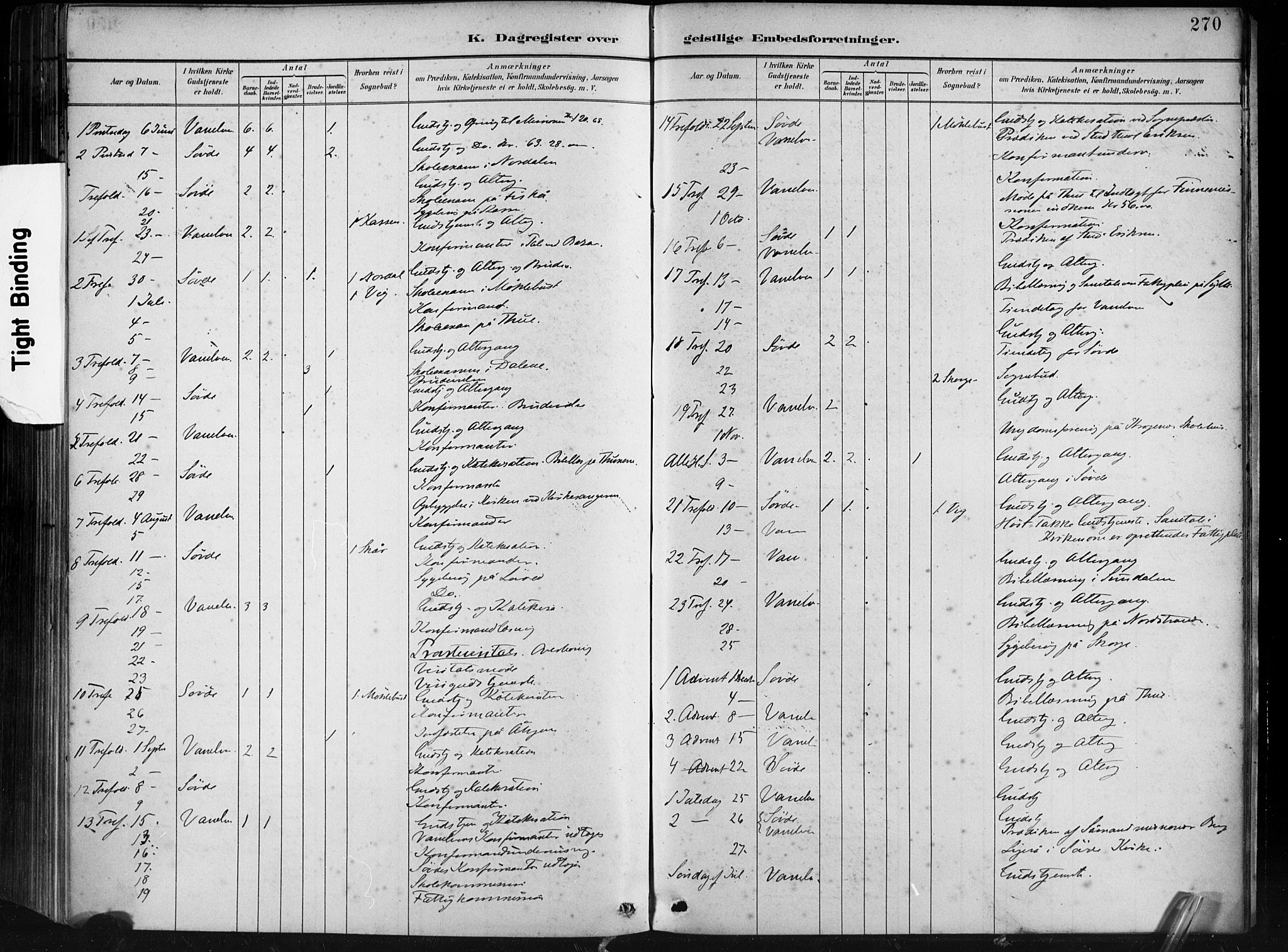 Ministerialprotokoller, klokkerbøker og fødselsregistre - Møre og Romsdal, AV/SAT-A-1454/501/L0008: Parish register (official) no. 501A08, 1885-1901, p. 270