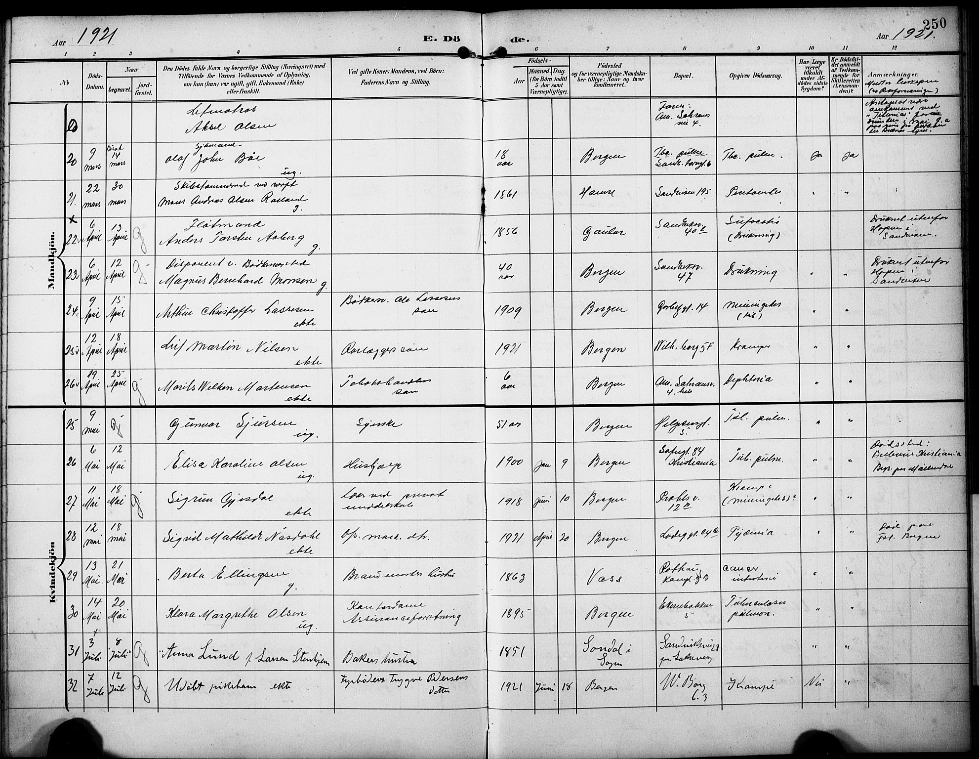 Sandviken Sokneprestembete, AV/SAB-A-77601/H/Hb/L0017: Parish register (copy) no. E 1, 1903-1926, p. 250