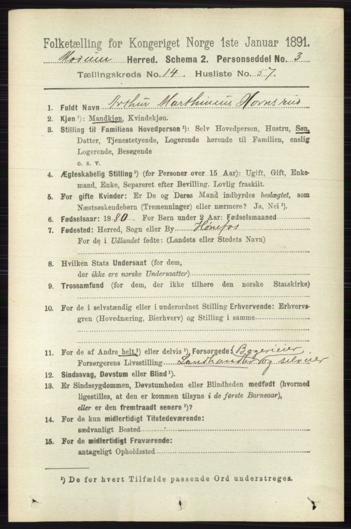 RA, 1891 census for 0623 Modum, 1891, p. 5802