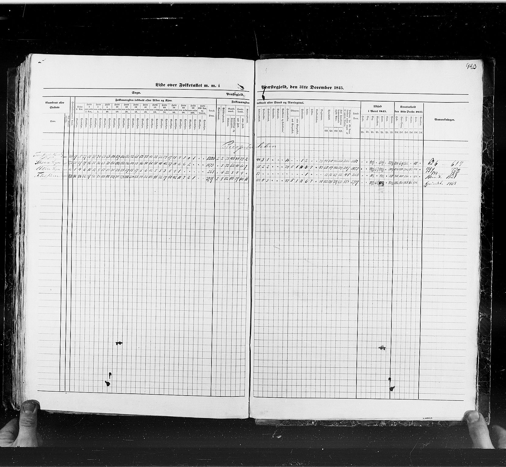 RA, Census 1845, vol. 6: Lister og Mandal amt og Stavanger amt, 1845, p. 423