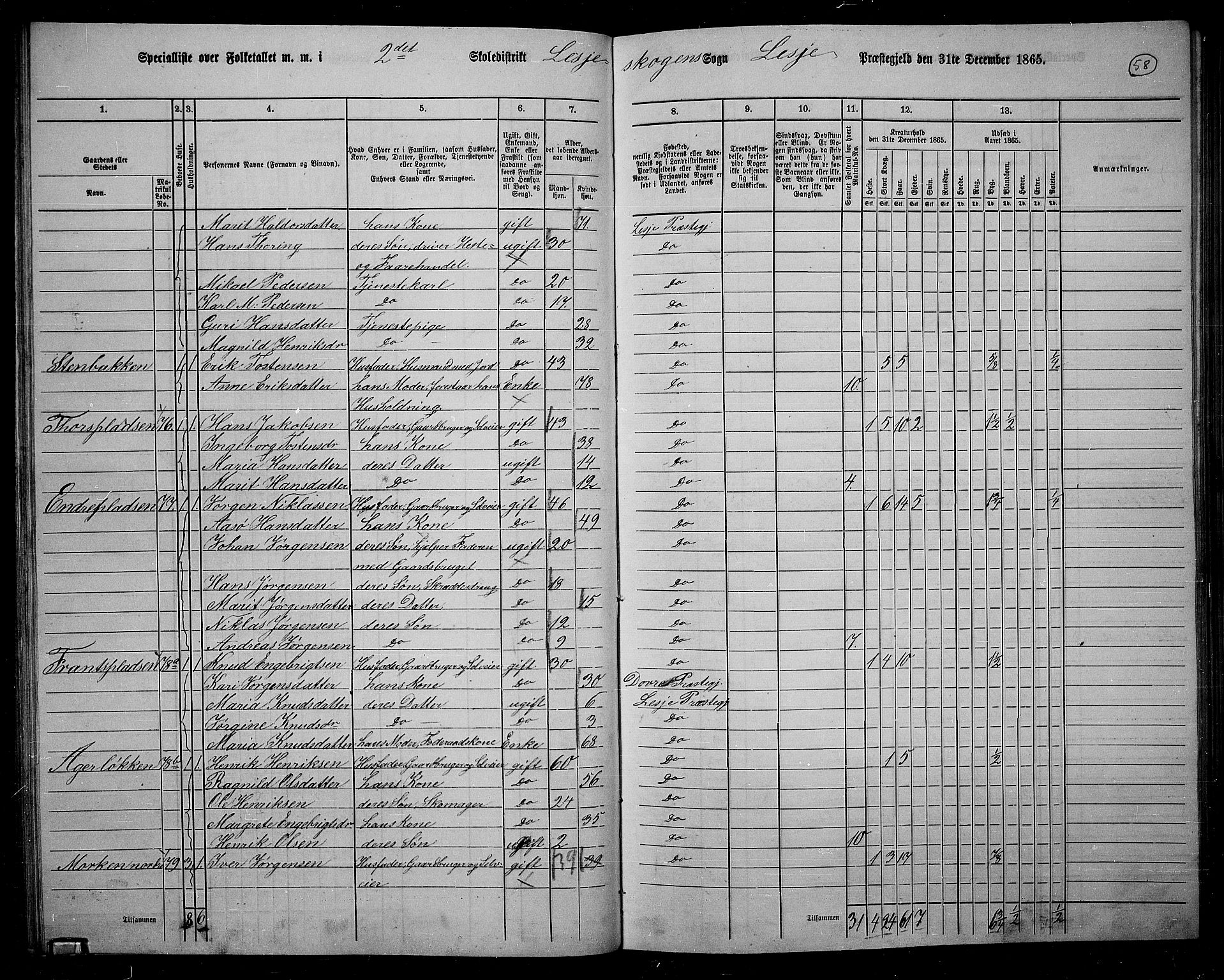 RA, 1865 census for Lesja, 1865, p. 53