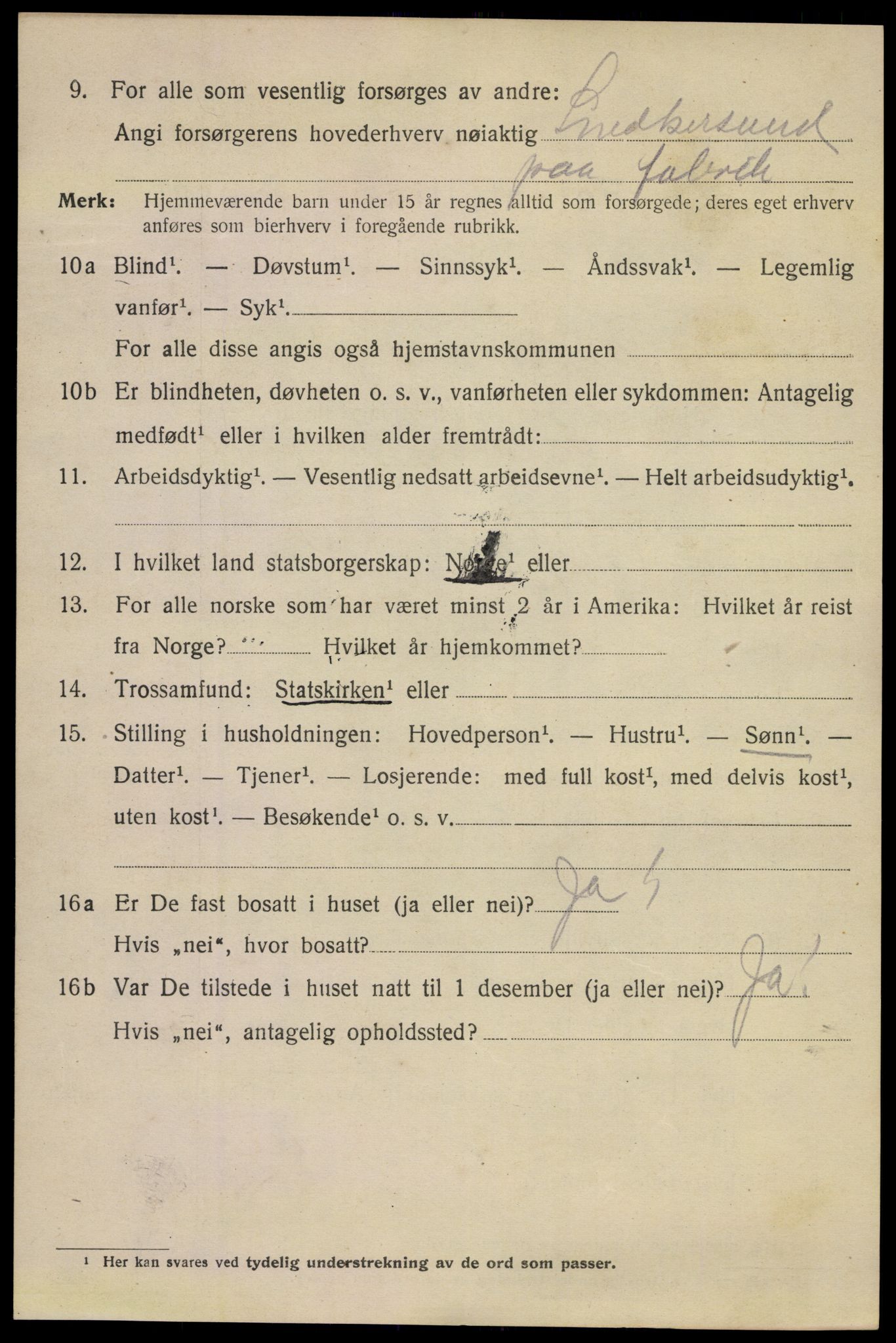 SAKO, 1920 census for Kragerø, 1920, p. 12008