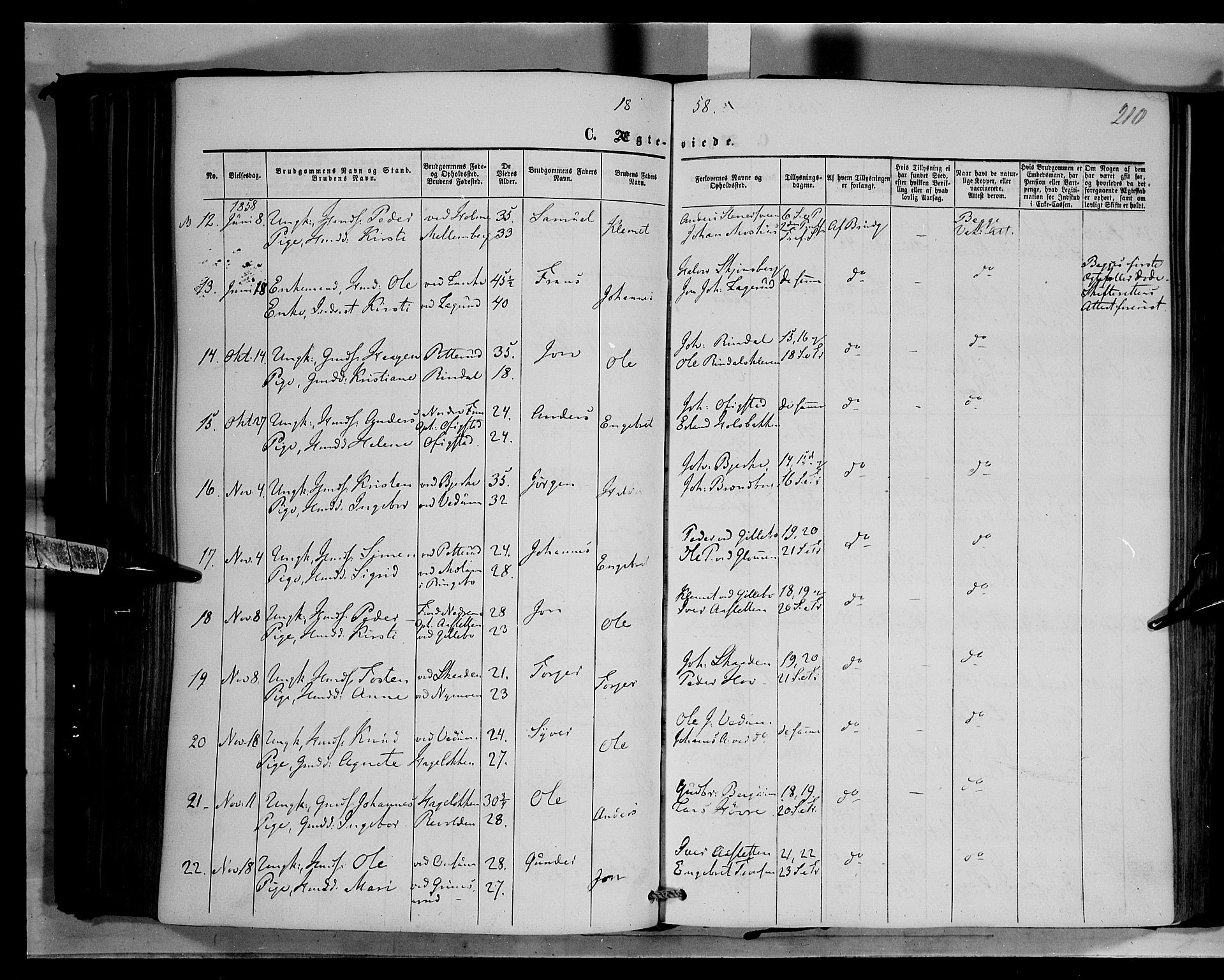 Øyer prestekontor, SAH/PREST-084/H/Ha/Haa/L0006: Parish register (official) no. 6, 1858-1874, p. 210