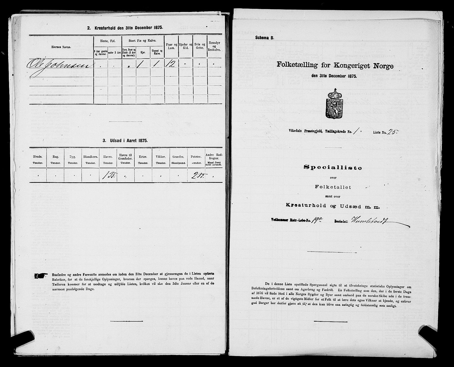 SAST, 1875 census for 1157P Vikedal, 1875, p. 117