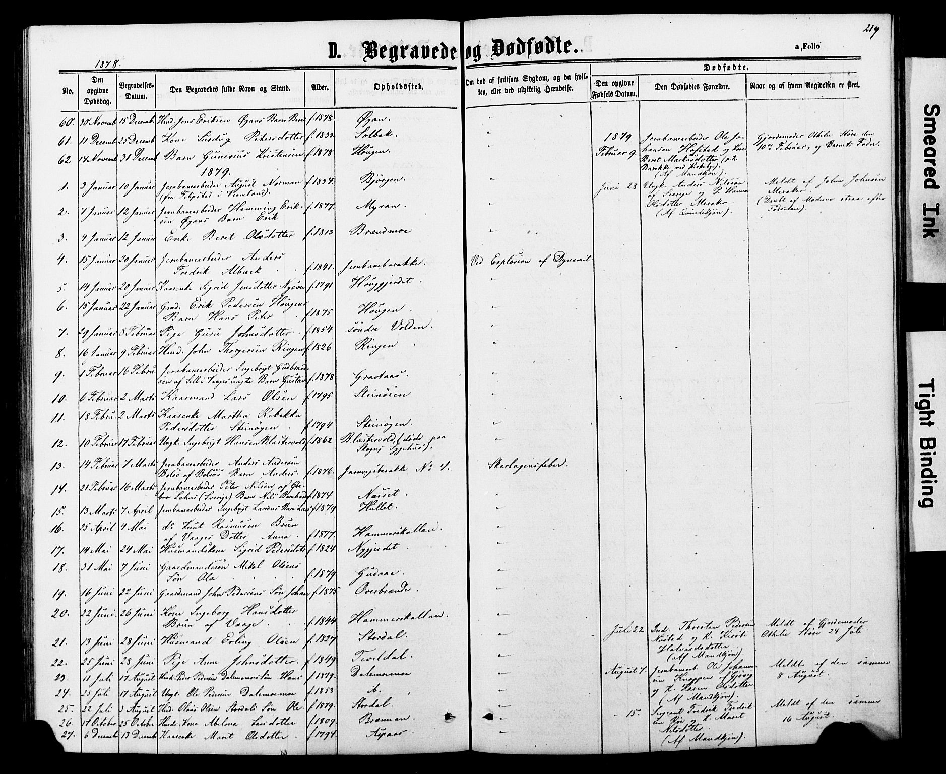 Ministerialprotokoller, klokkerbøker og fødselsregistre - Nord-Trøndelag, SAT/A-1458/706/L0049: Parish register (copy) no. 706C01, 1864-1895, p. 219