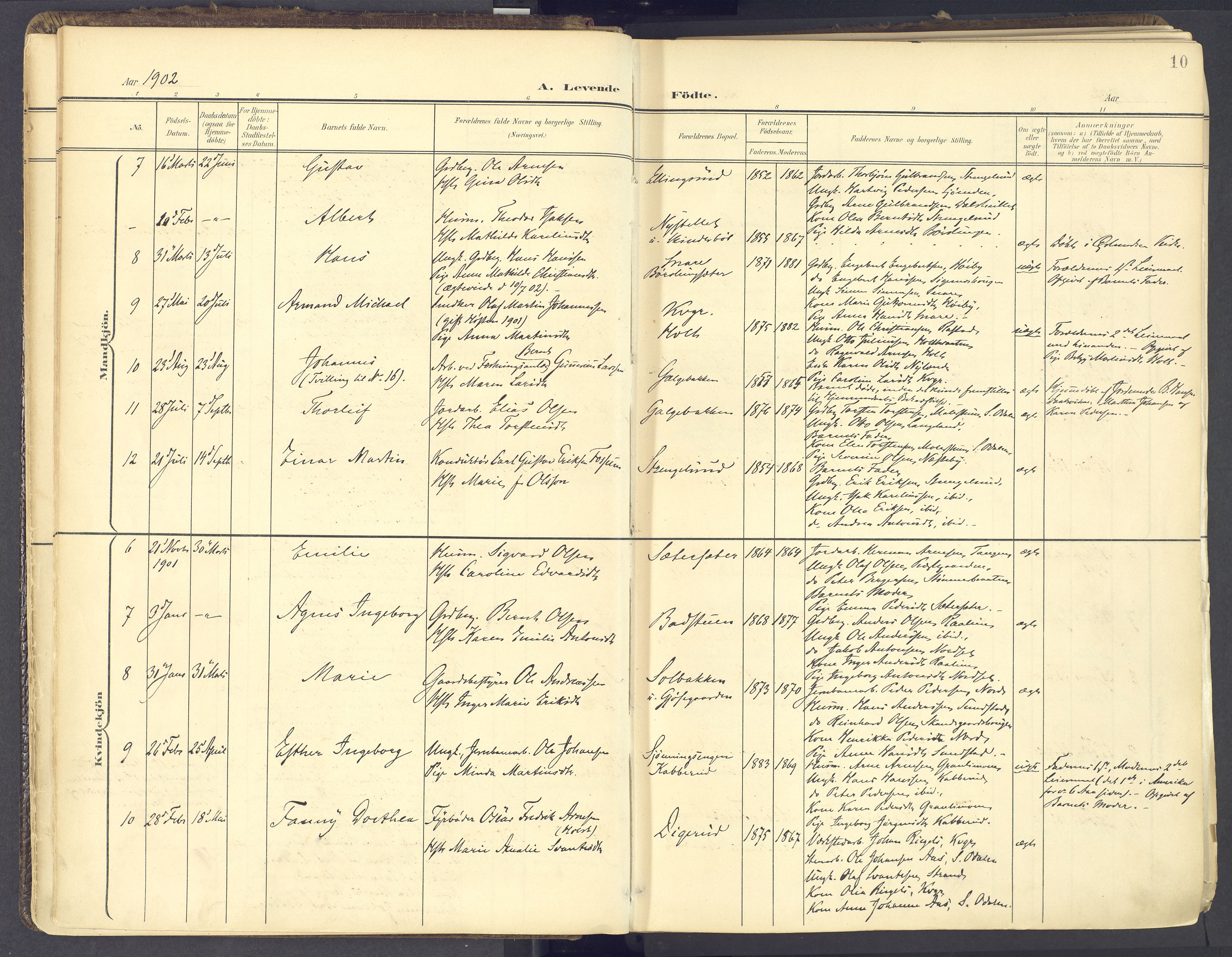 Vinger prestekontor, AV/SAH-PREST-024/H/Ha/Haa/L0017: Parish register (official) no. 17, 1901-1927, p. 10