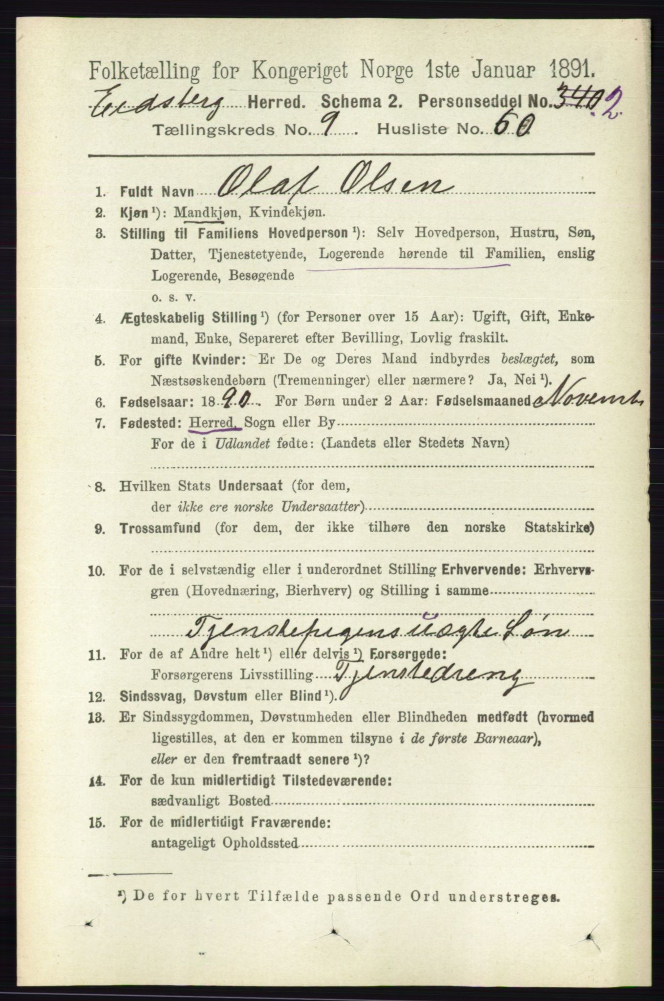 RA, 1891 census for 0125 Eidsberg, 1891, p. 5505