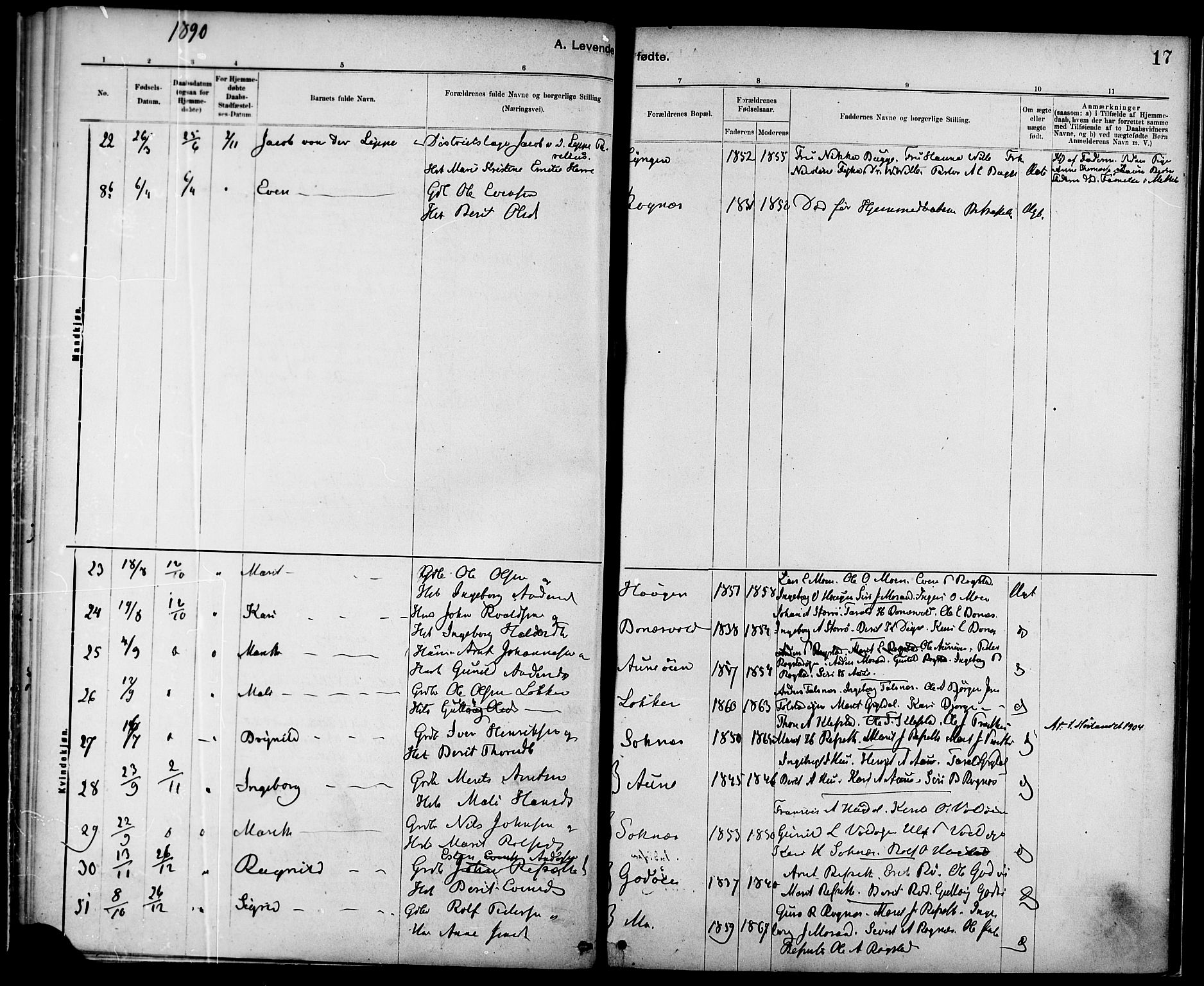 Ministerialprotokoller, klokkerbøker og fødselsregistre - Sør-Trøndelag, AV/SAT-A-1456/687/L1003: Parish register (official) no. 687A09, 1886-1890, p. 17