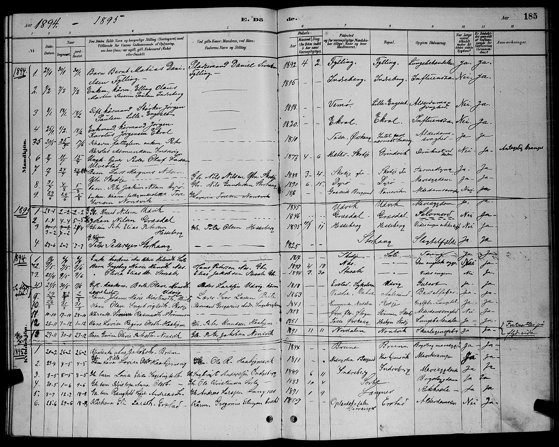 Ministerialprotokoller, klokkerbøker og fødselsregistre - Møre og Romsdal, AV/SAT-A-1454/524/L0365: Parish register (copy) no. 524C06, 1880-1899, p. 185