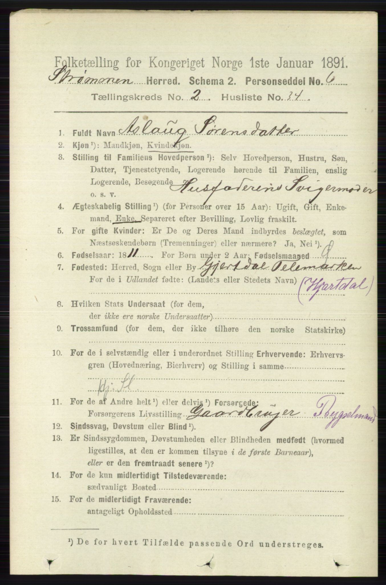 RA, 1891 census for 0711 Strømm, 1891, p. 895