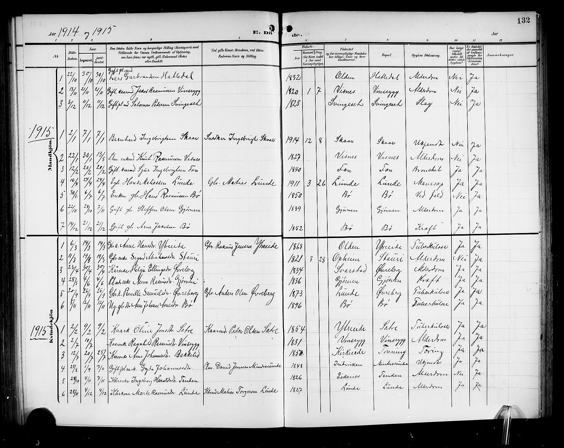 Stryn Sokneprestembete, AV/SAB-A-82501: Parish register (copy) no. A 3, 1906-1924, p. 132