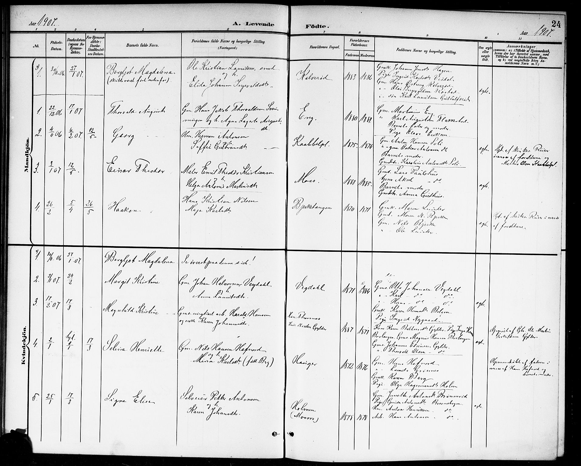 Våler prestekontor Kirkebøker, SAO/A-11083/G/Ga/L0004: Parish register (copy) no. I 4, 1901-1914, p. 24