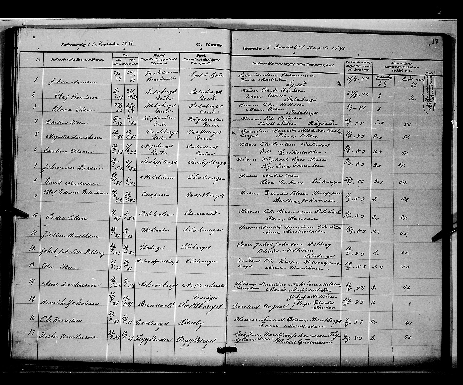 Grue prestekontor, AV/SAH-PREST-036/H/Ha/Hab/L0004: Parish register (copy) no. 4, 1895-1901, p. 17