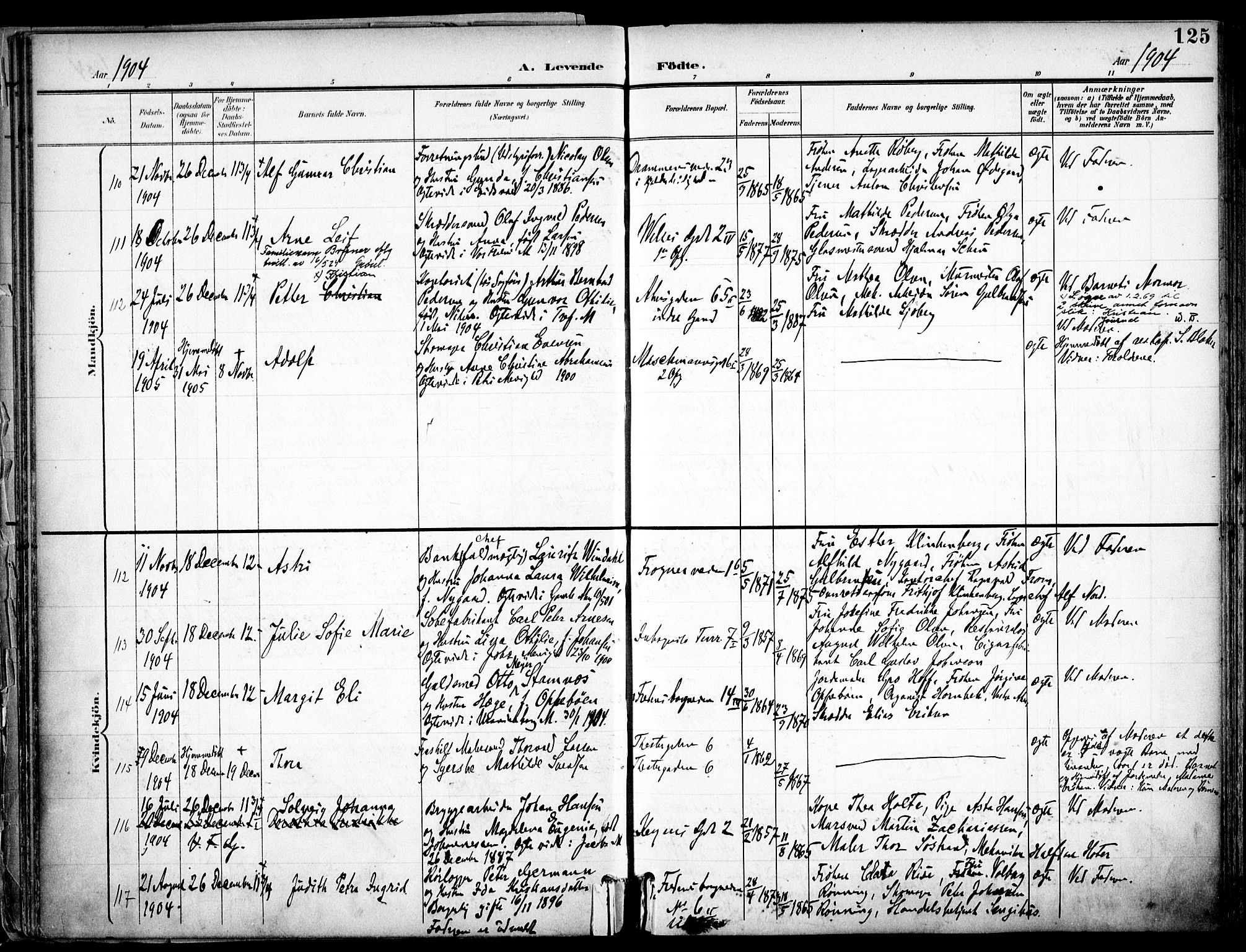 Trefoldighet prestekontor Kirkebøker, AV/SAO-A-10882/F/Fa/L0007: Parish register (official) no. I 7, 1900-1914, p. 125